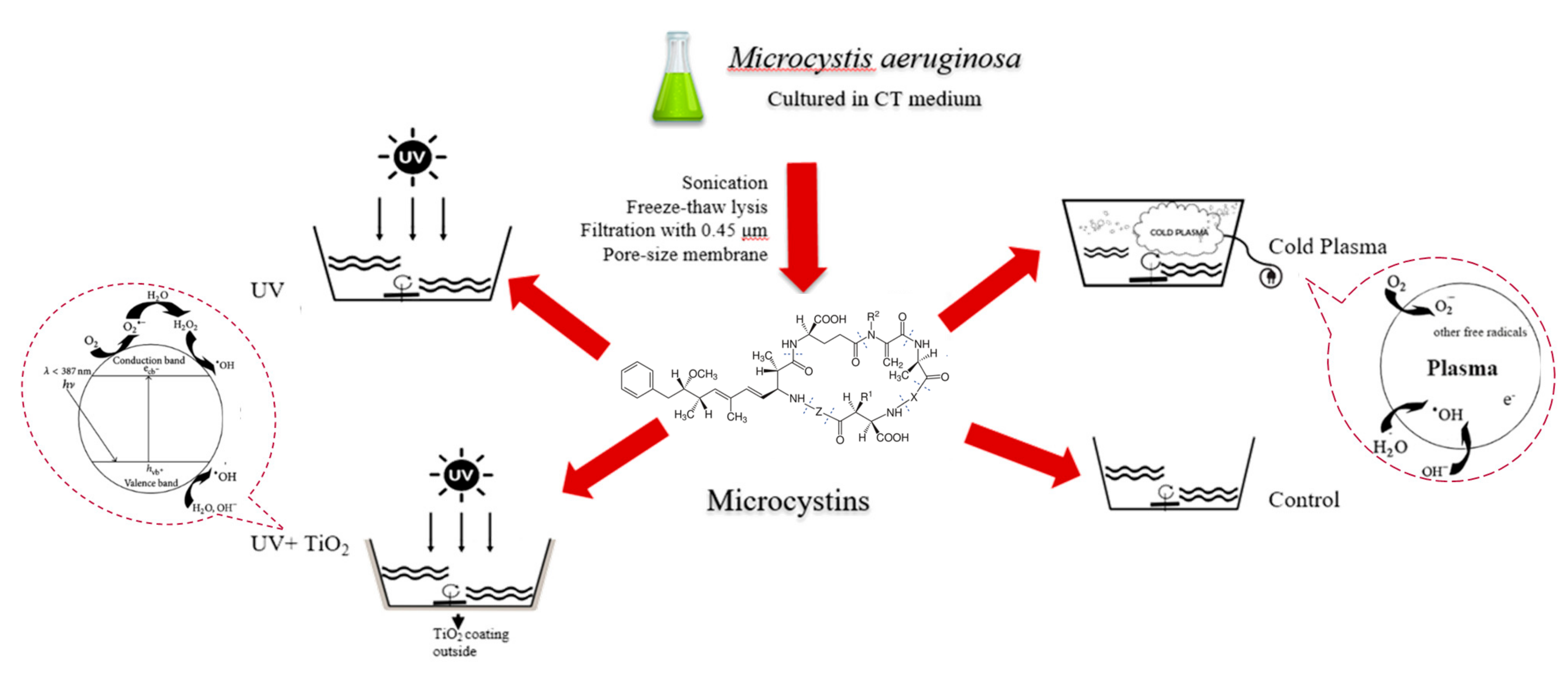 Ijerph 14 00480 g001 550