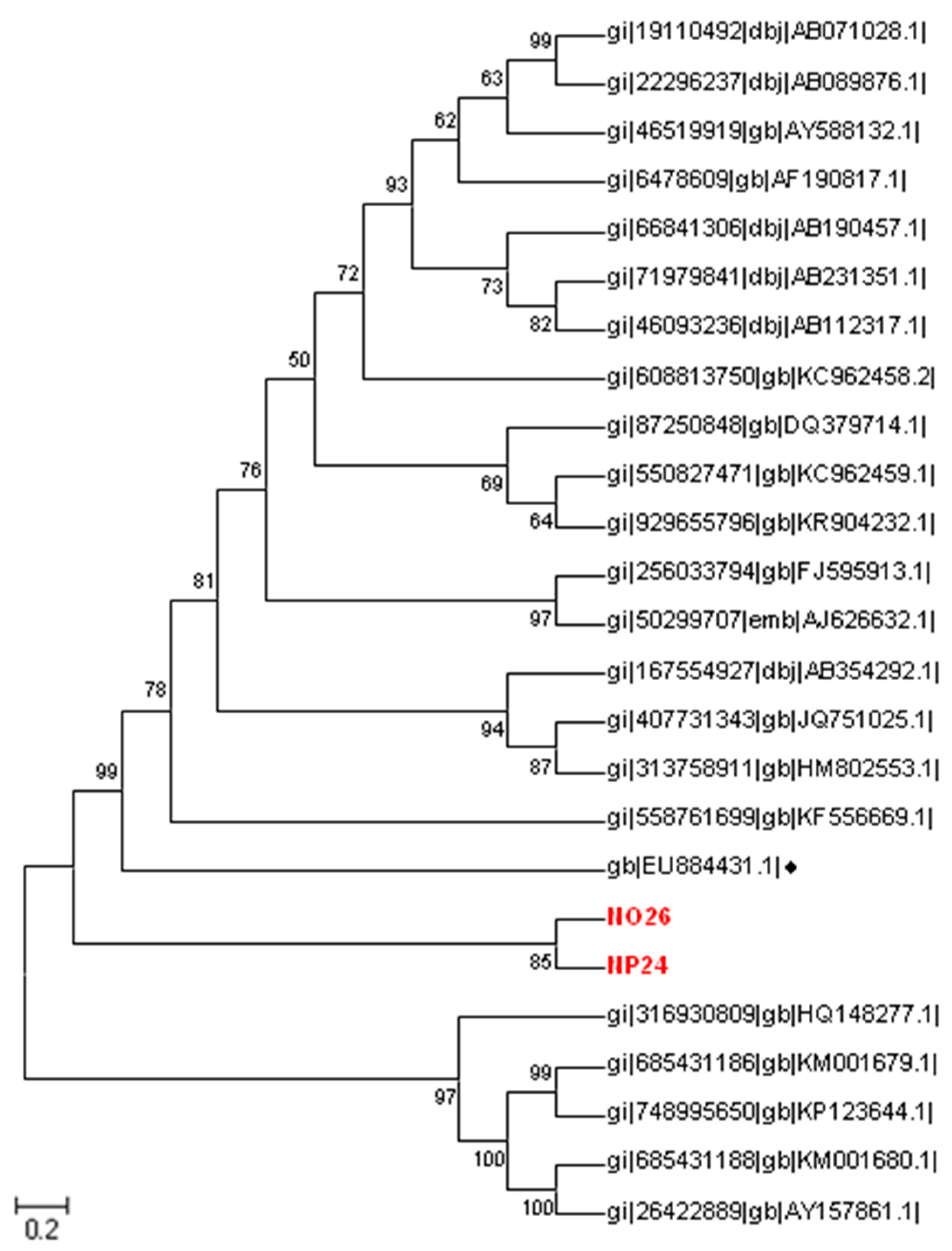 Ijerph 14 00482 g002