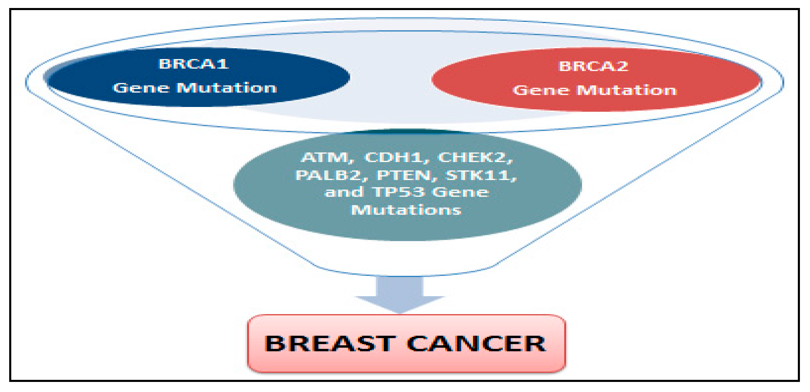 Ijerph 14 00486 g002