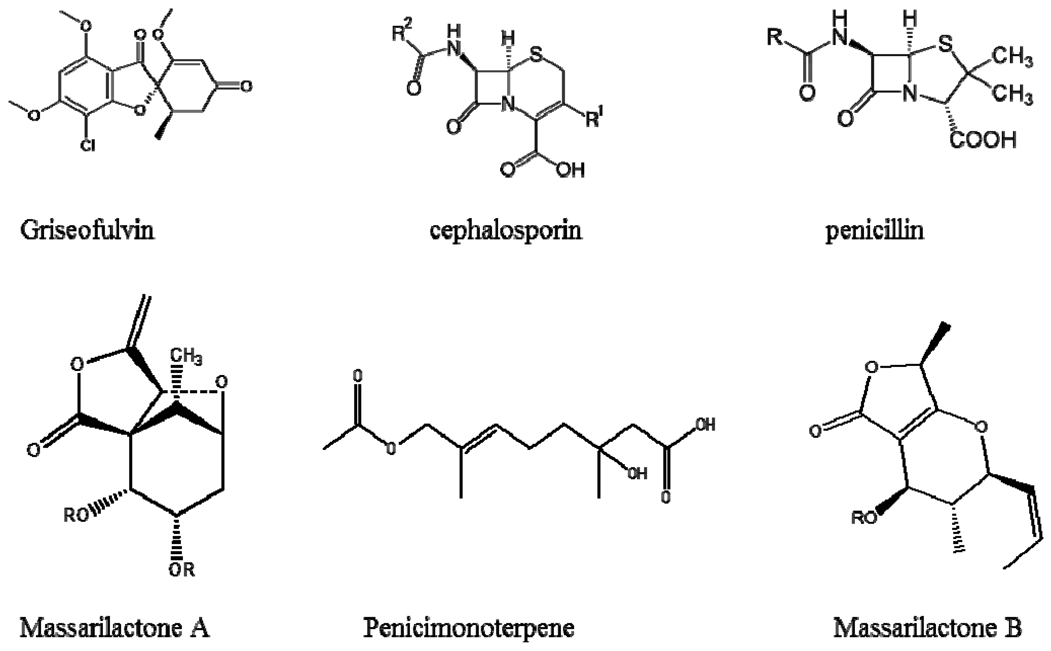 Ijerph 14 00546 g002 550