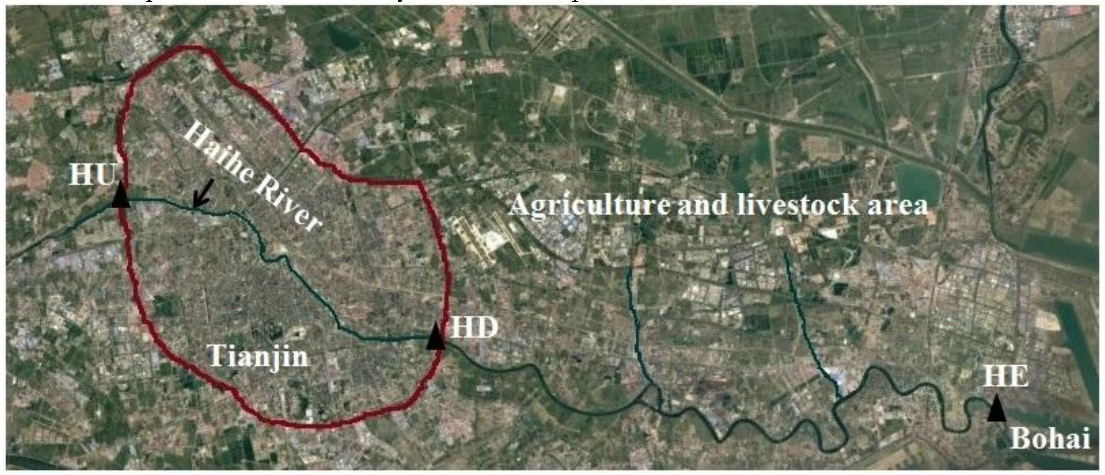 Ijerph 14 00576 g001