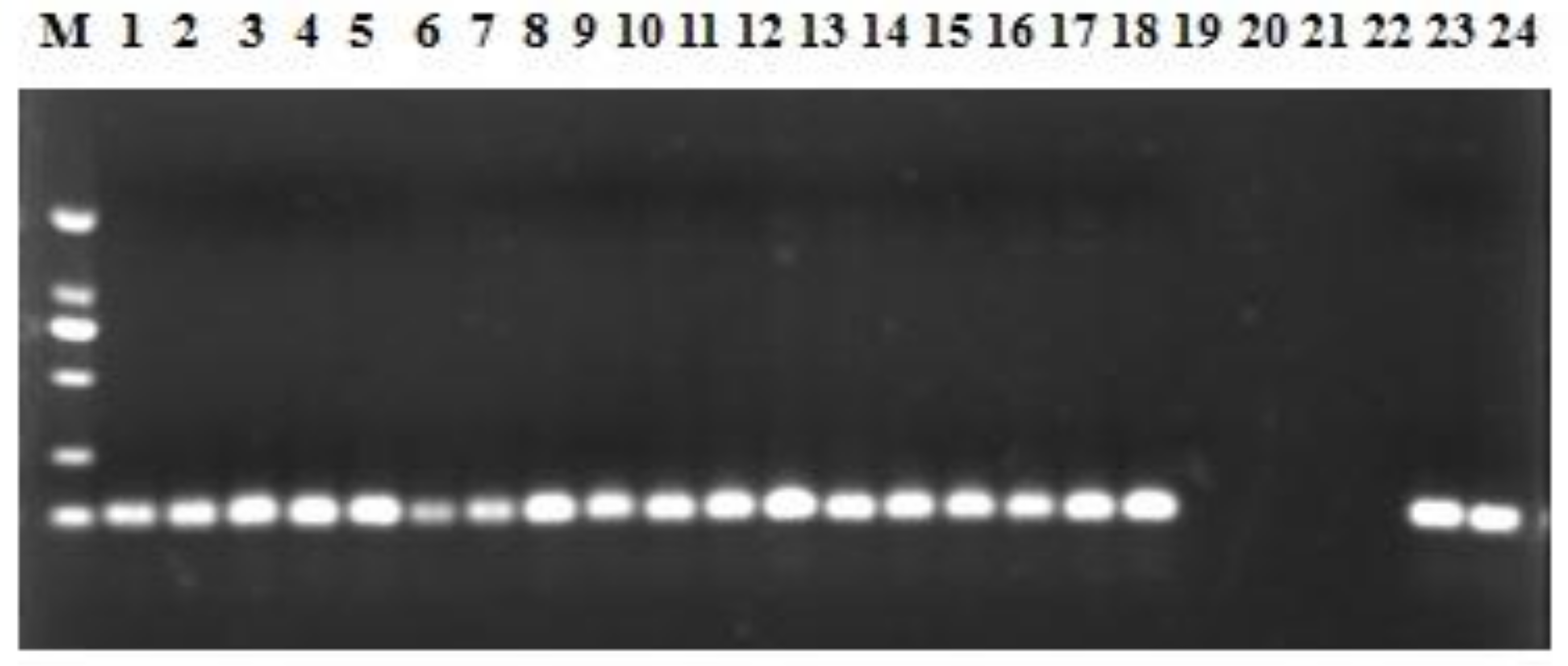 Ijerph 14 00576 g004