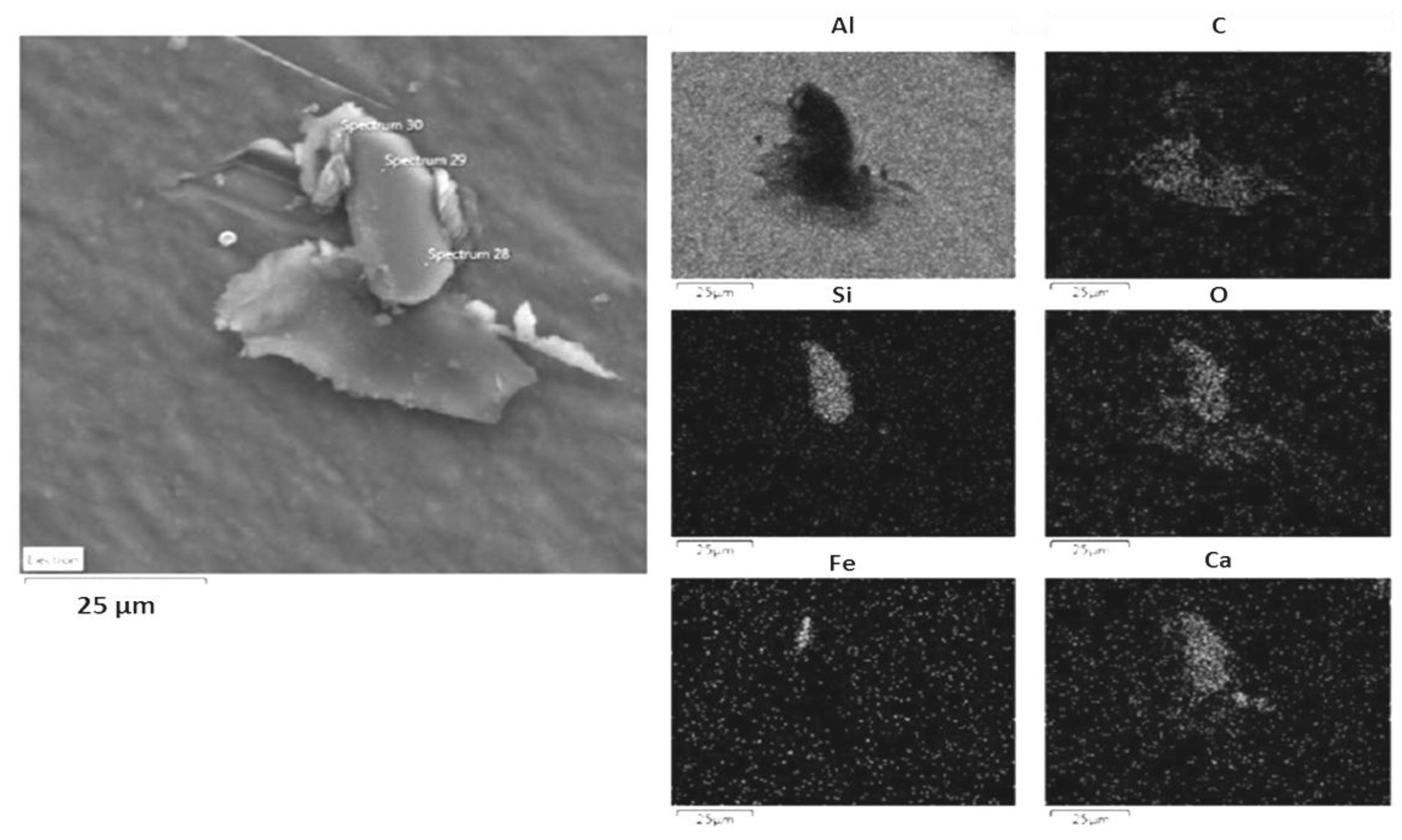 Ijerph 14 00579 g007 550