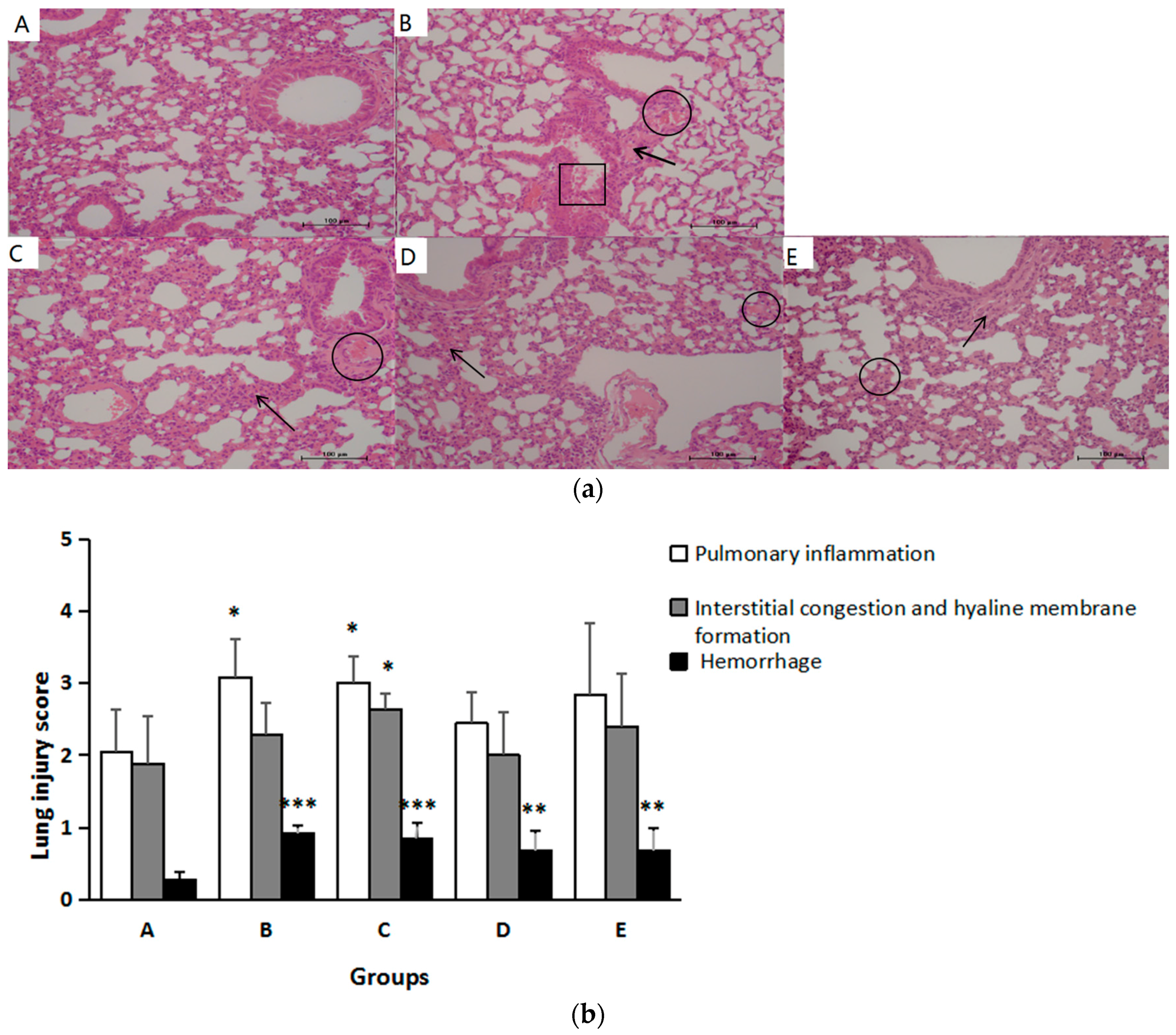 Ijerph 14 00592 g003