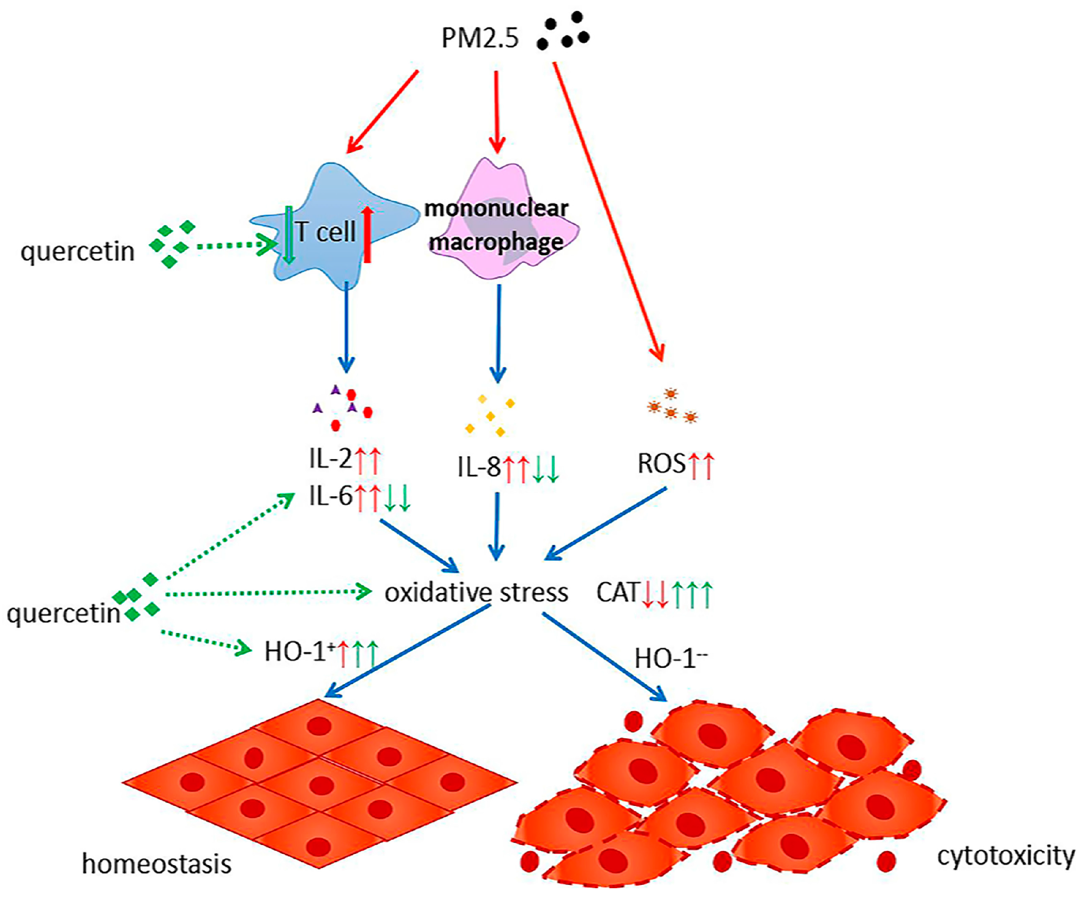 Ijerph 14 00592 g007