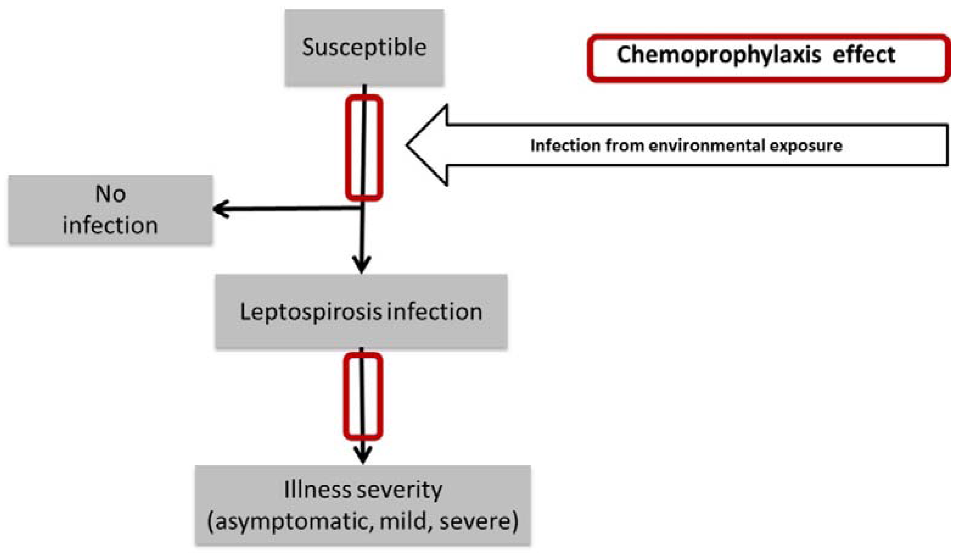 PDF) Postexposure prophylaxis with single-dose doxycycline is