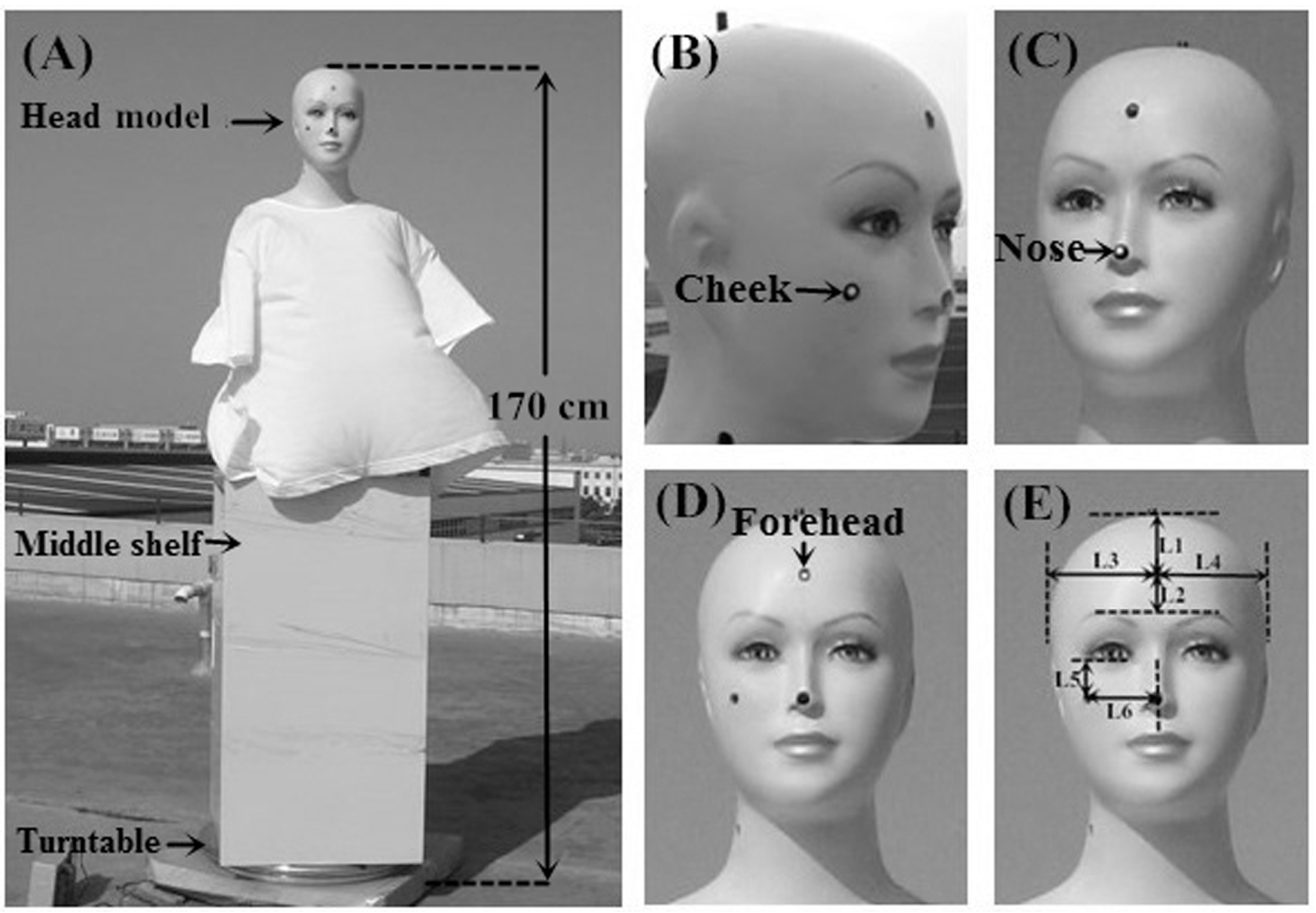 Ijerph 14 00606 g001