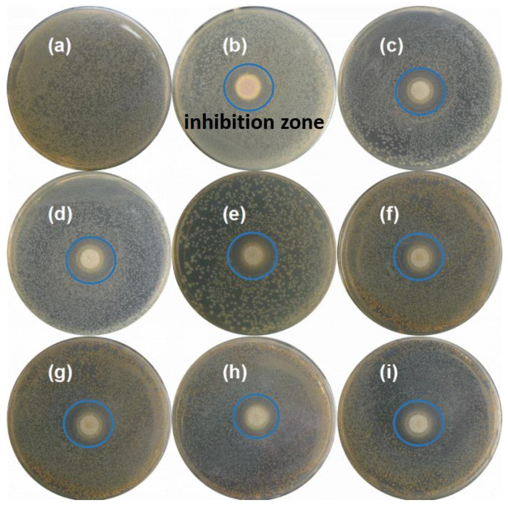 Ijerph 14 00626 g005 550