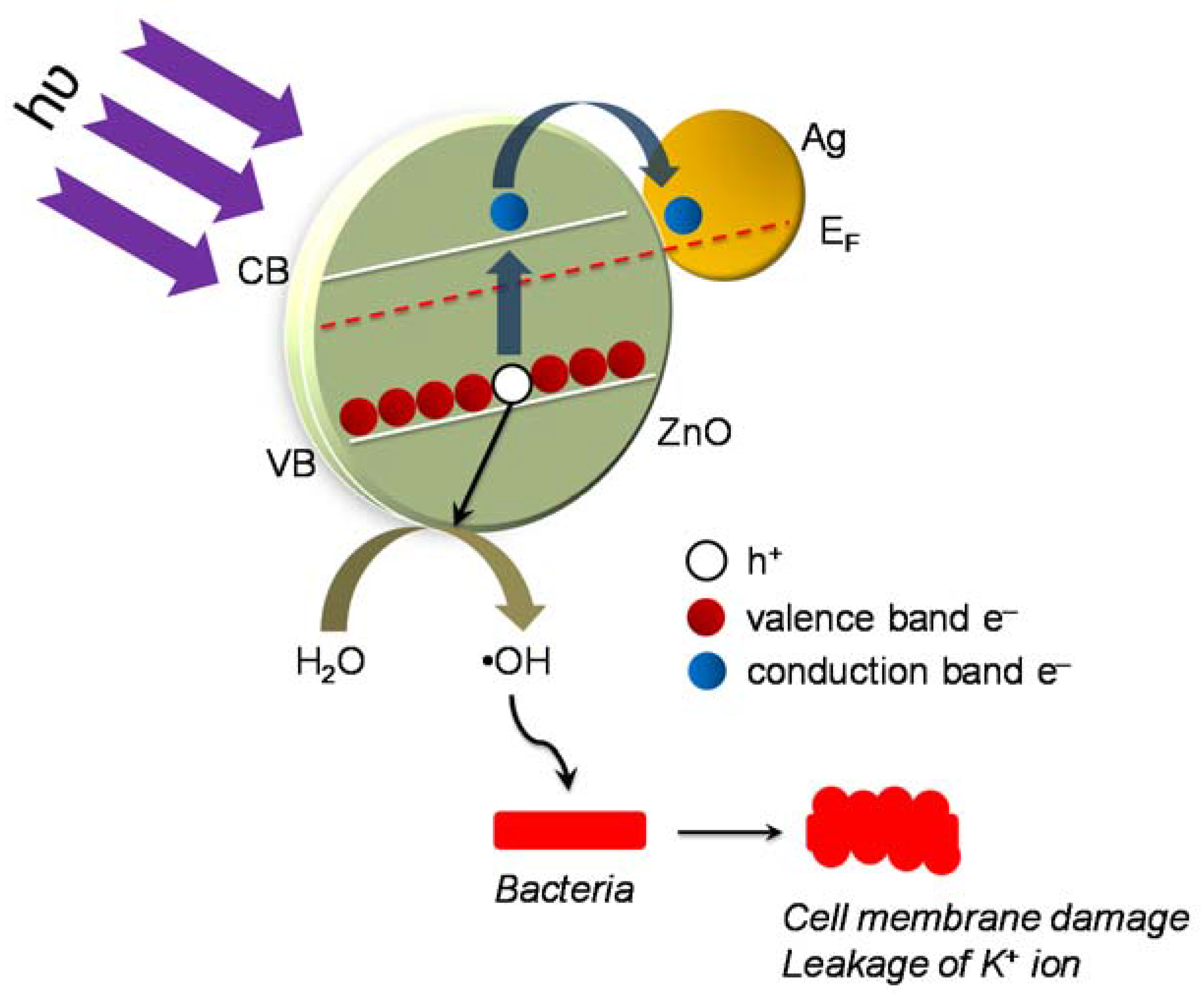 Ijerph 14 00747 g010