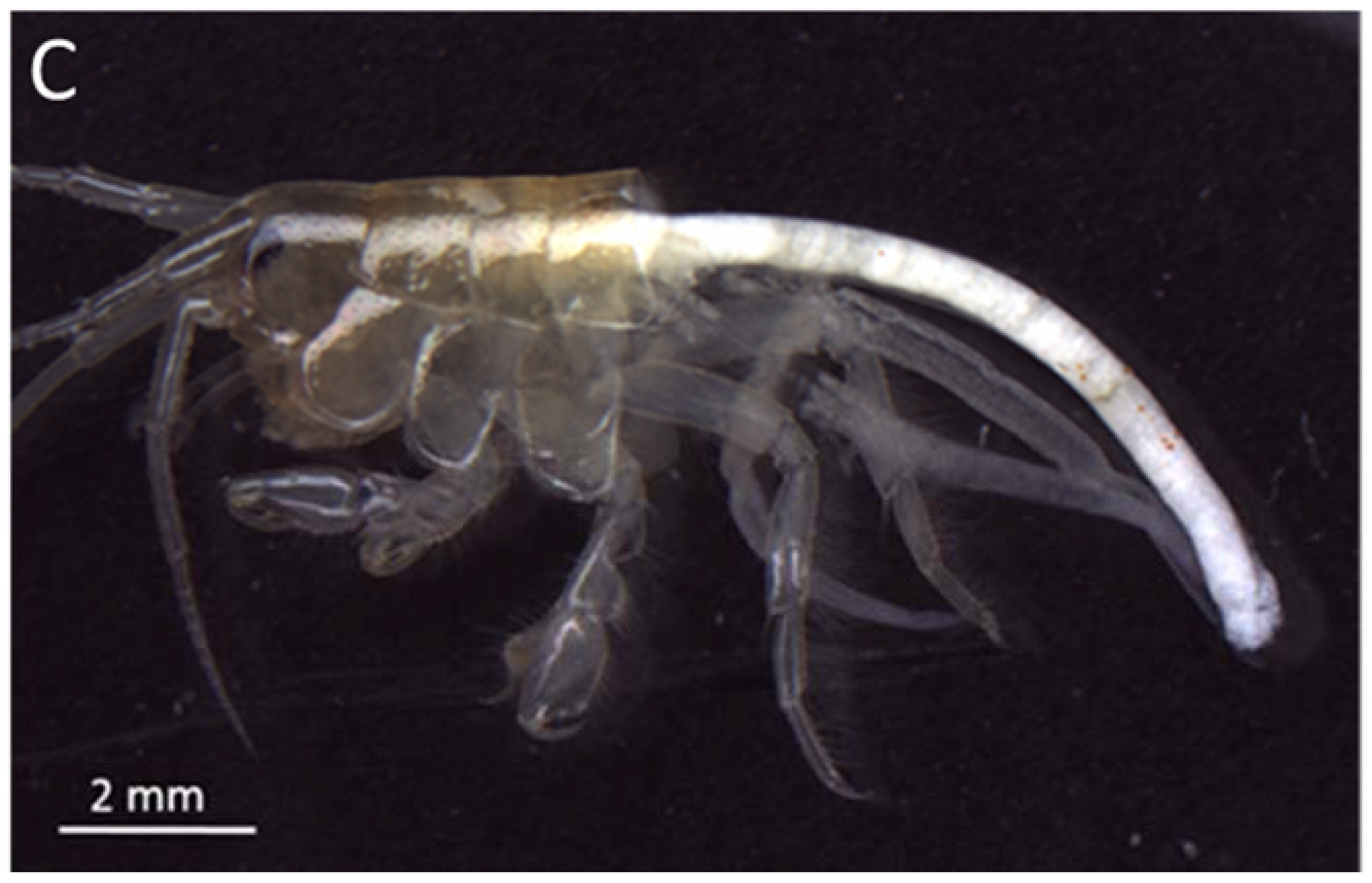 Ijerph 14 00774 g004b Ijerph 14 00774 g004b