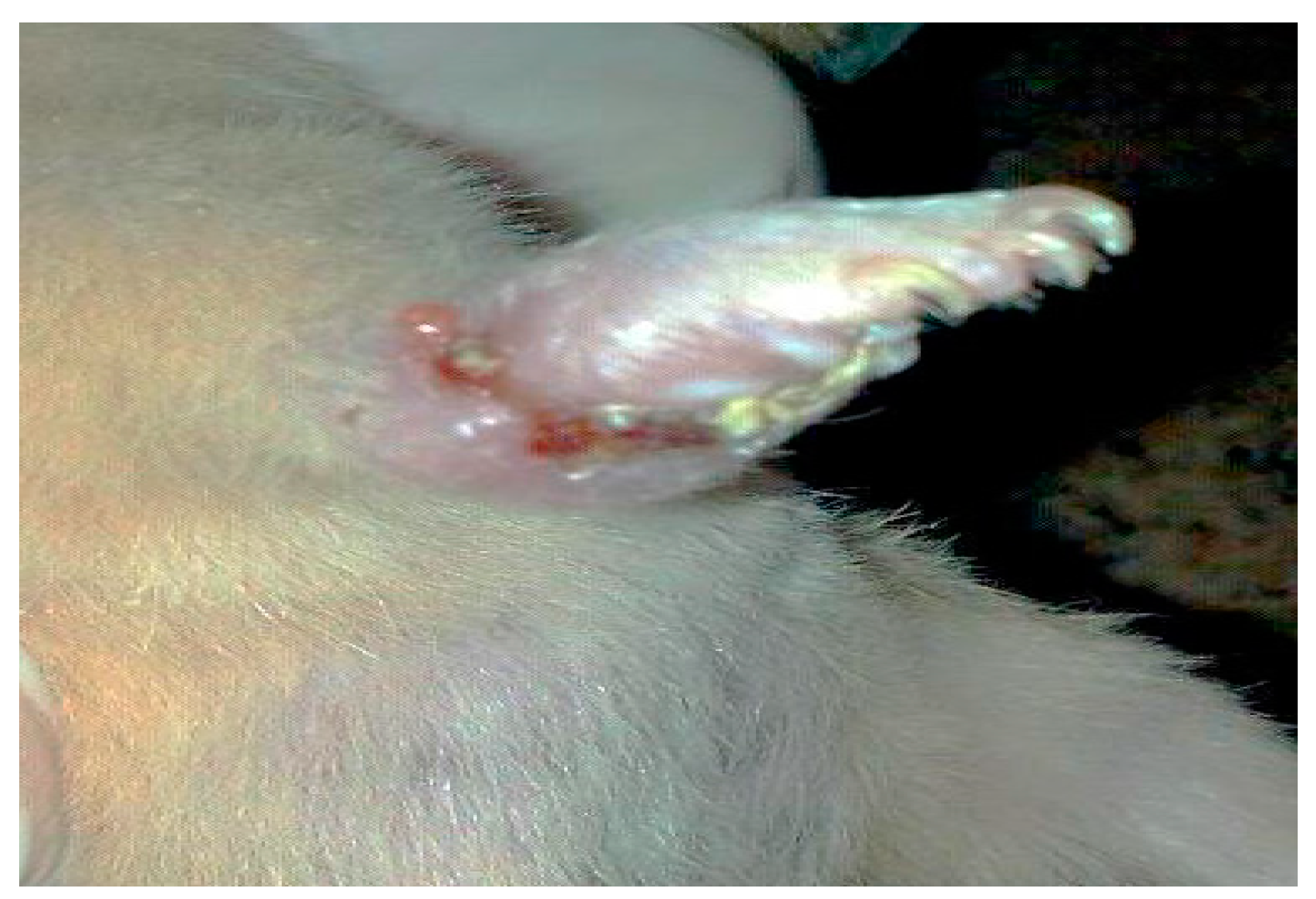 Ijerph 14 00777 g001