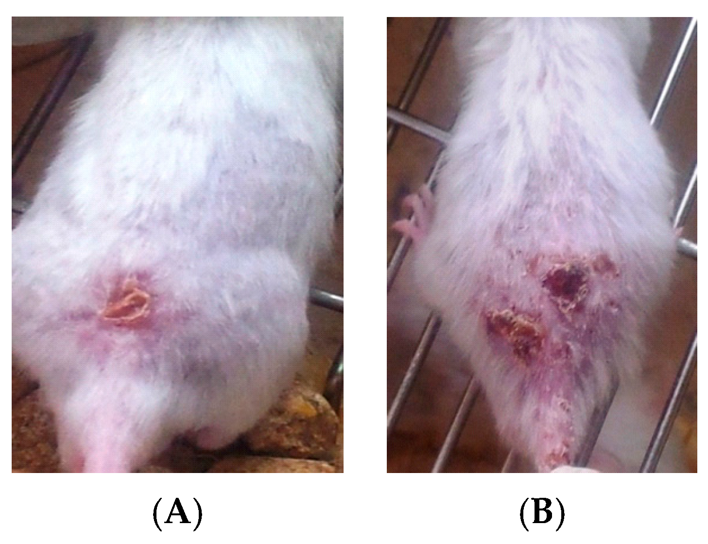 Ijerph 14 00777 g002