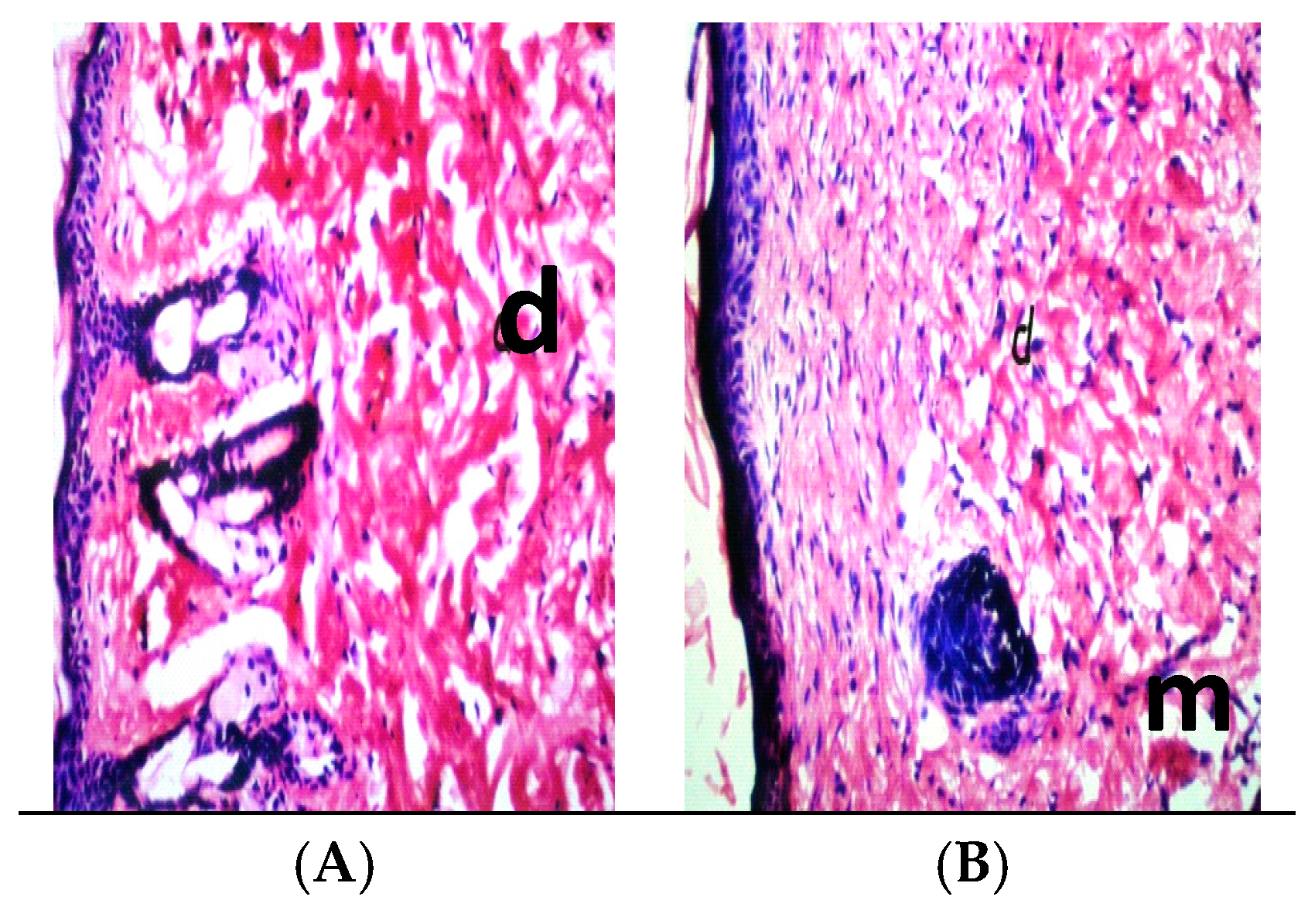 Ijerph 14 00777 g003