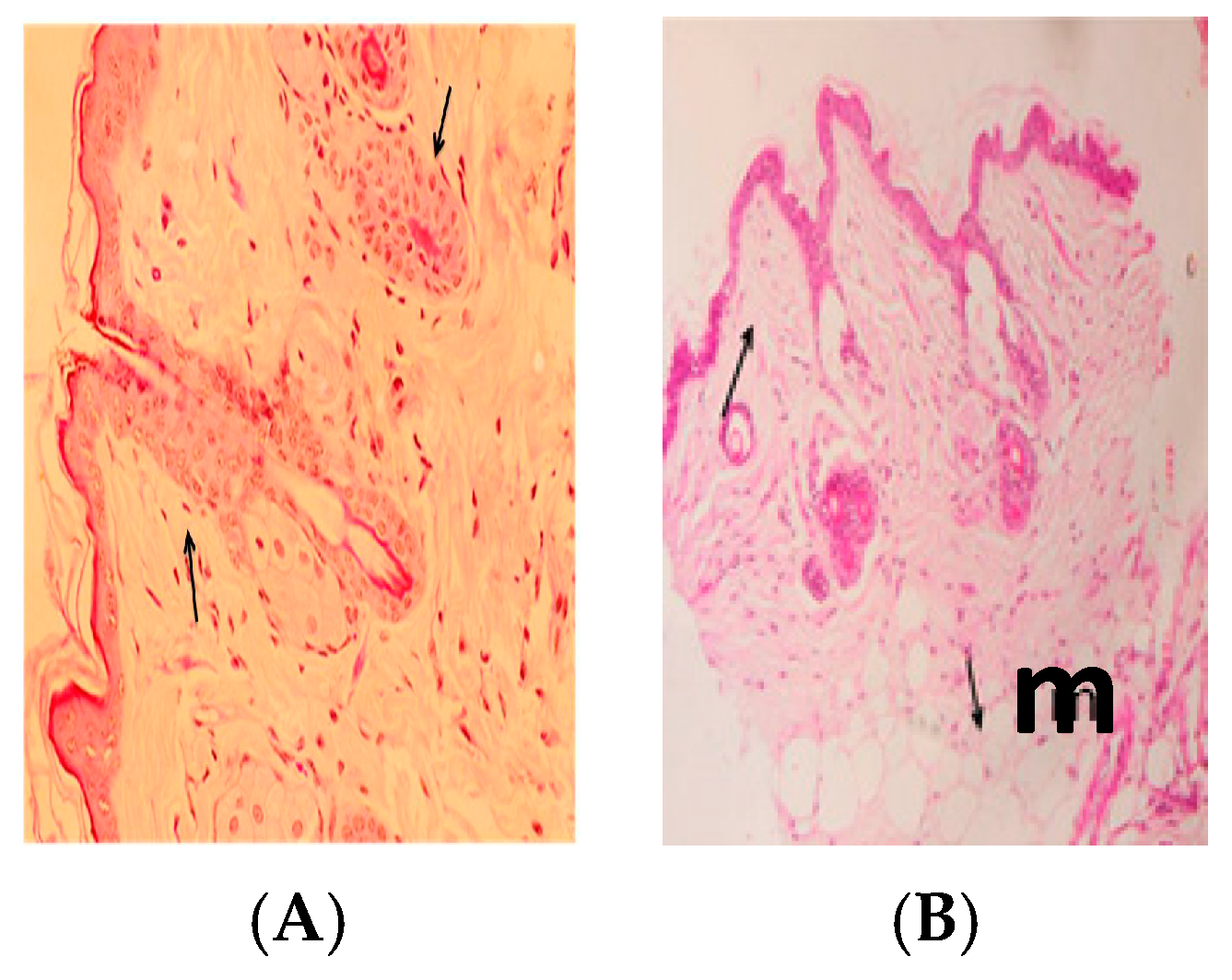 Ijerph 14 00777 g005