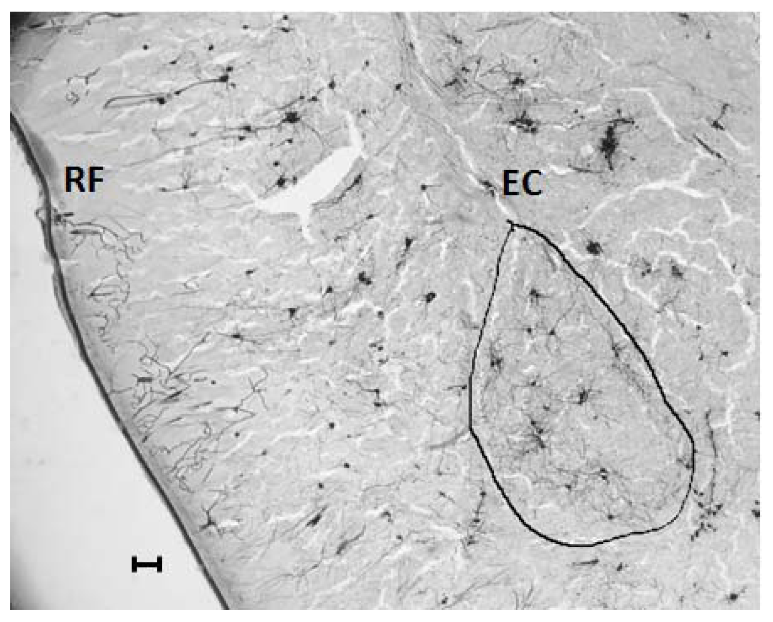 Ijerph 14 00779 g002 Ijerph 14 00779 g002