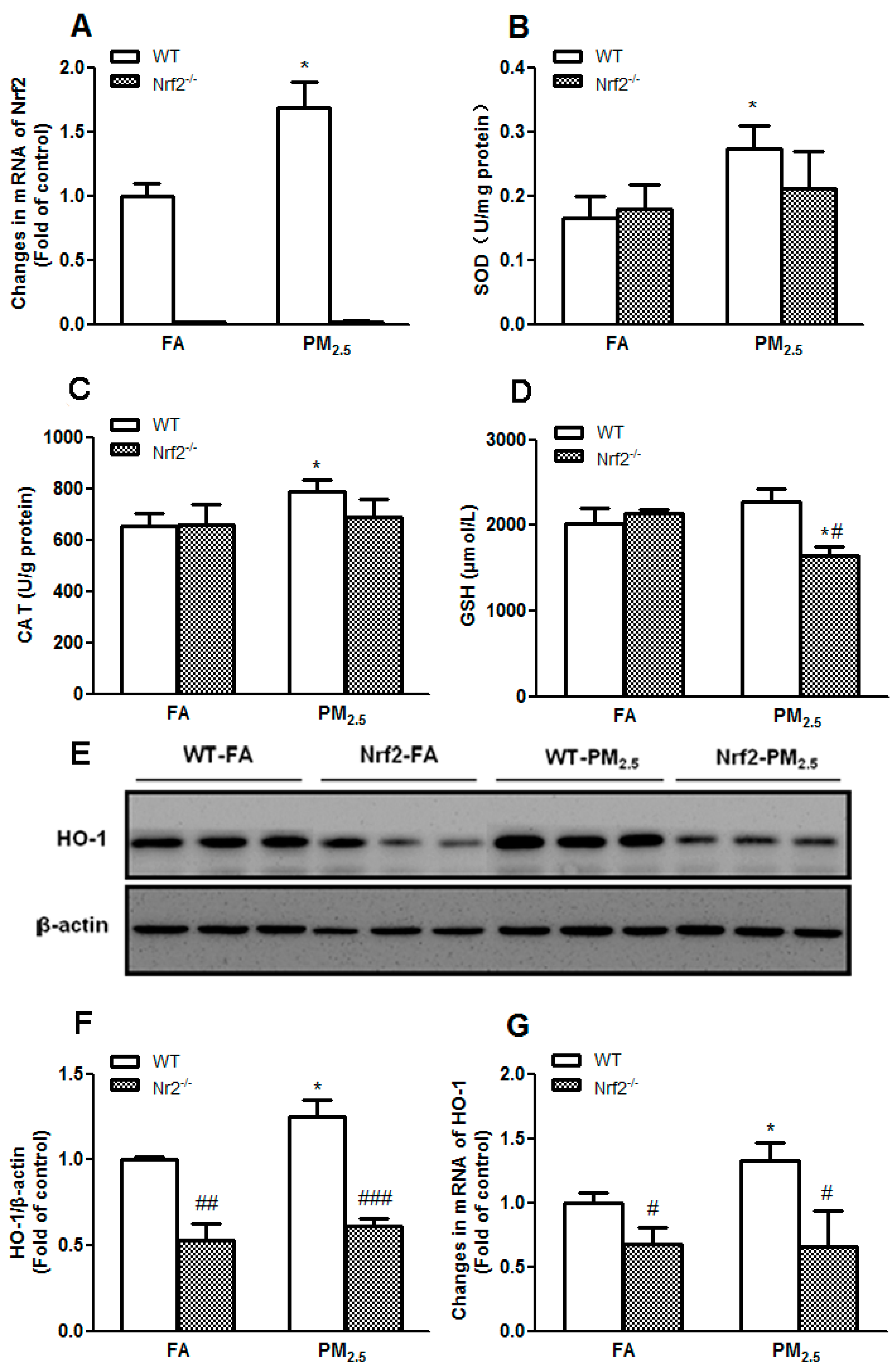 Ijerph 14 00787 g004 550