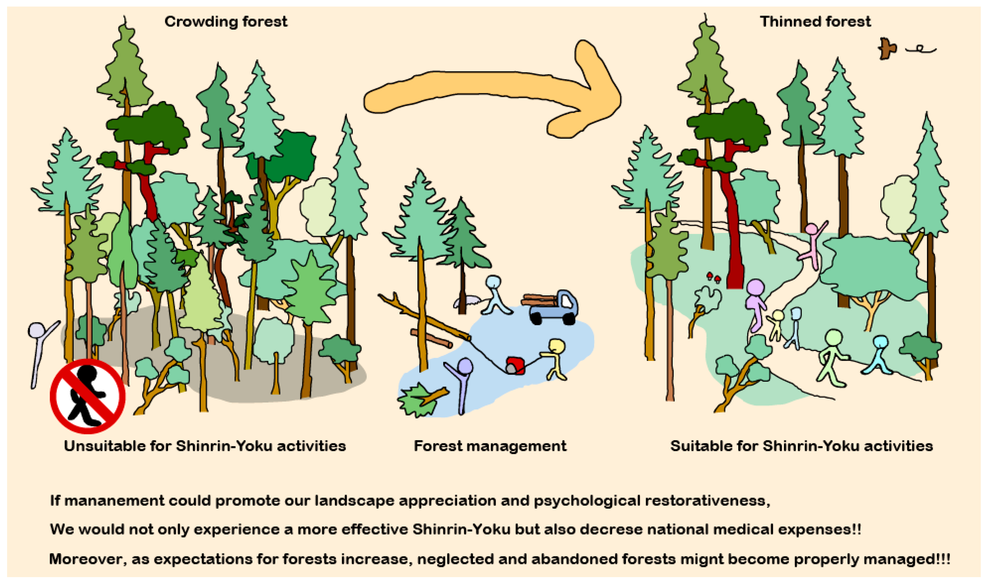 Ijerph Free Full Text Management Effectiveness Of A Secondary Coniferous Forest For Landscape Appreciation And Psychological Restoration Html Ijerph Free Full Text Management Effectiveness Of A Secondary Coniferous Forest For Landscape Appreciation And Psychological Restoration Html