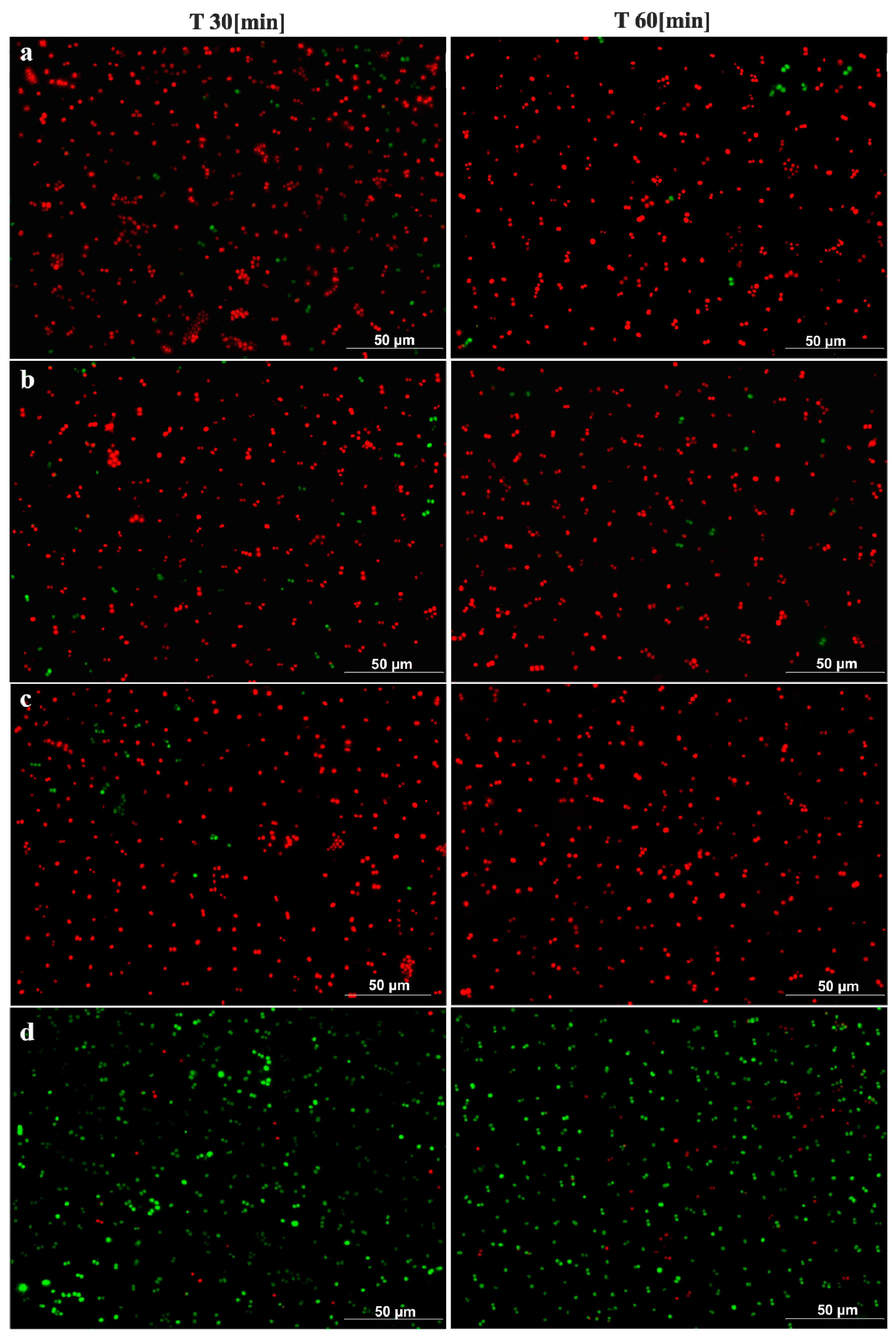 Ijerph 14 00813 g006 550
