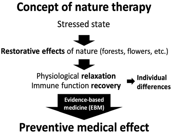 Shinrin-Yoku (Forest Bathing) and Nature Therapy