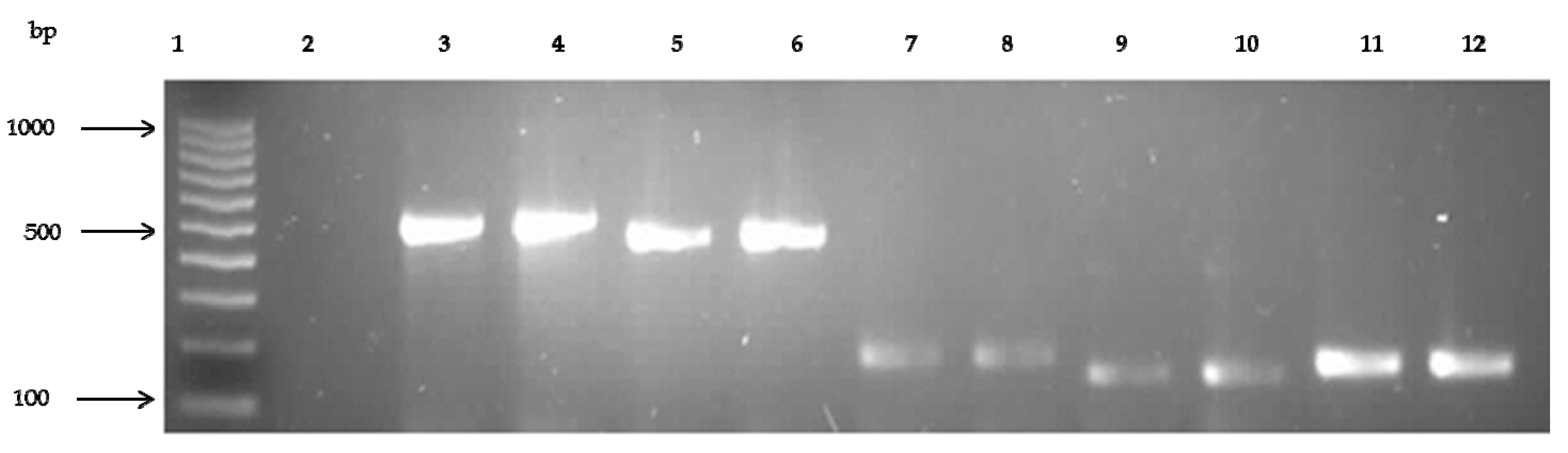 Ijerph 14 01001 g003 550