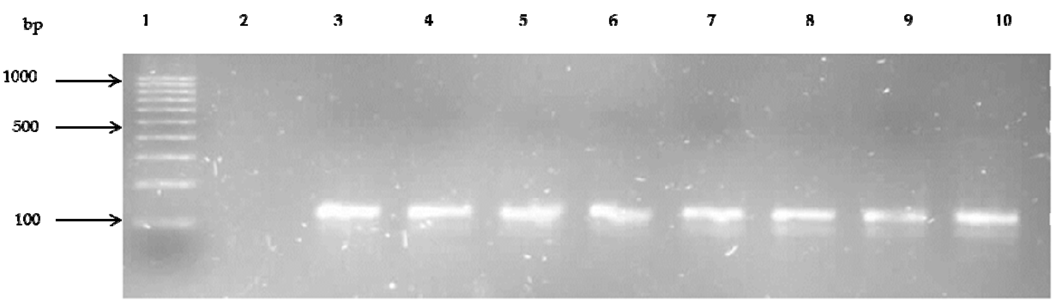 Ijerph 14 01001 g004 550