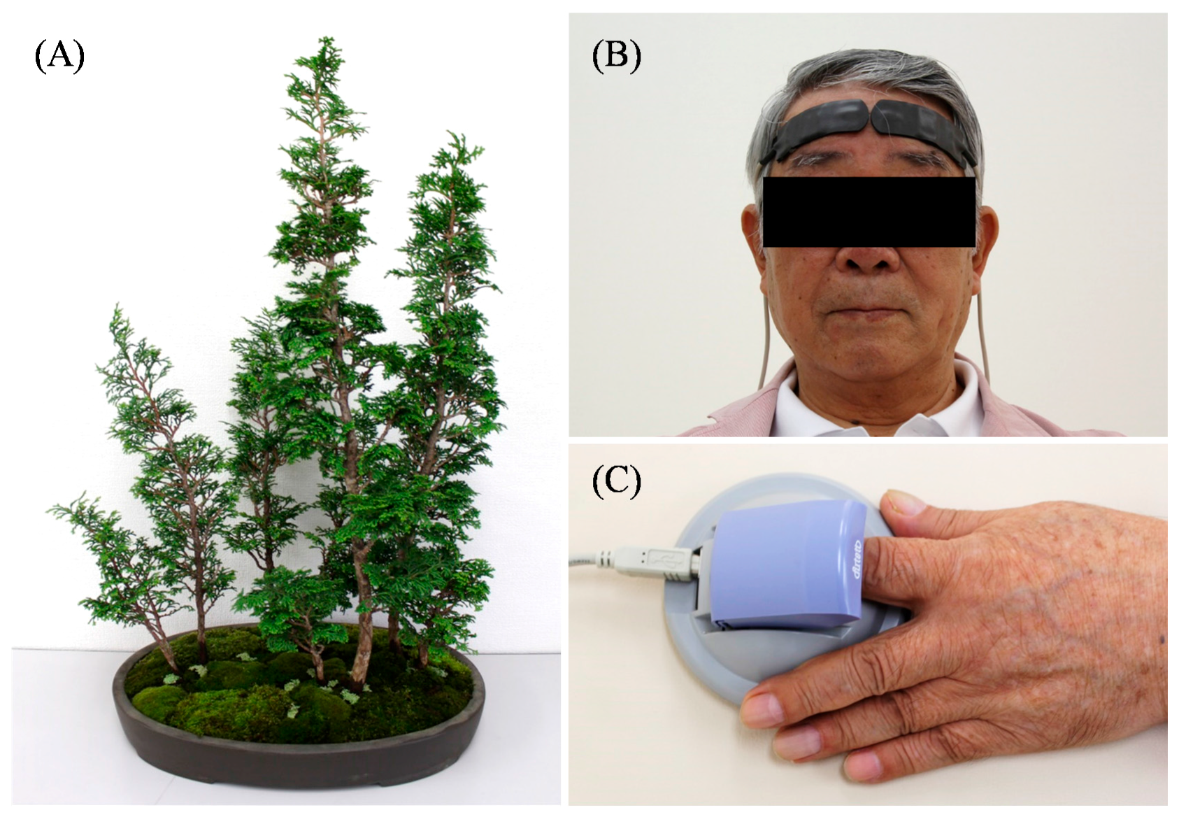 Ijerph 14 01017 g001