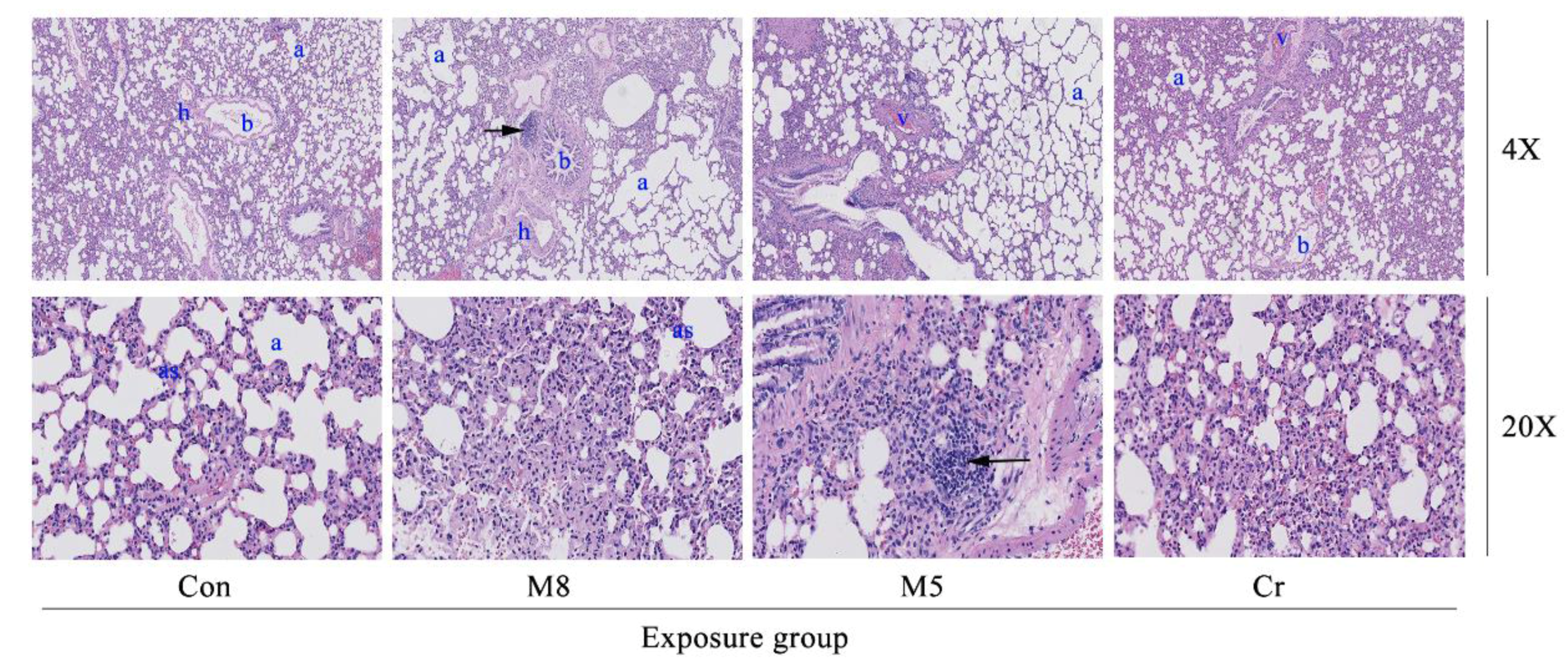 Ijerph 14 01164 g003