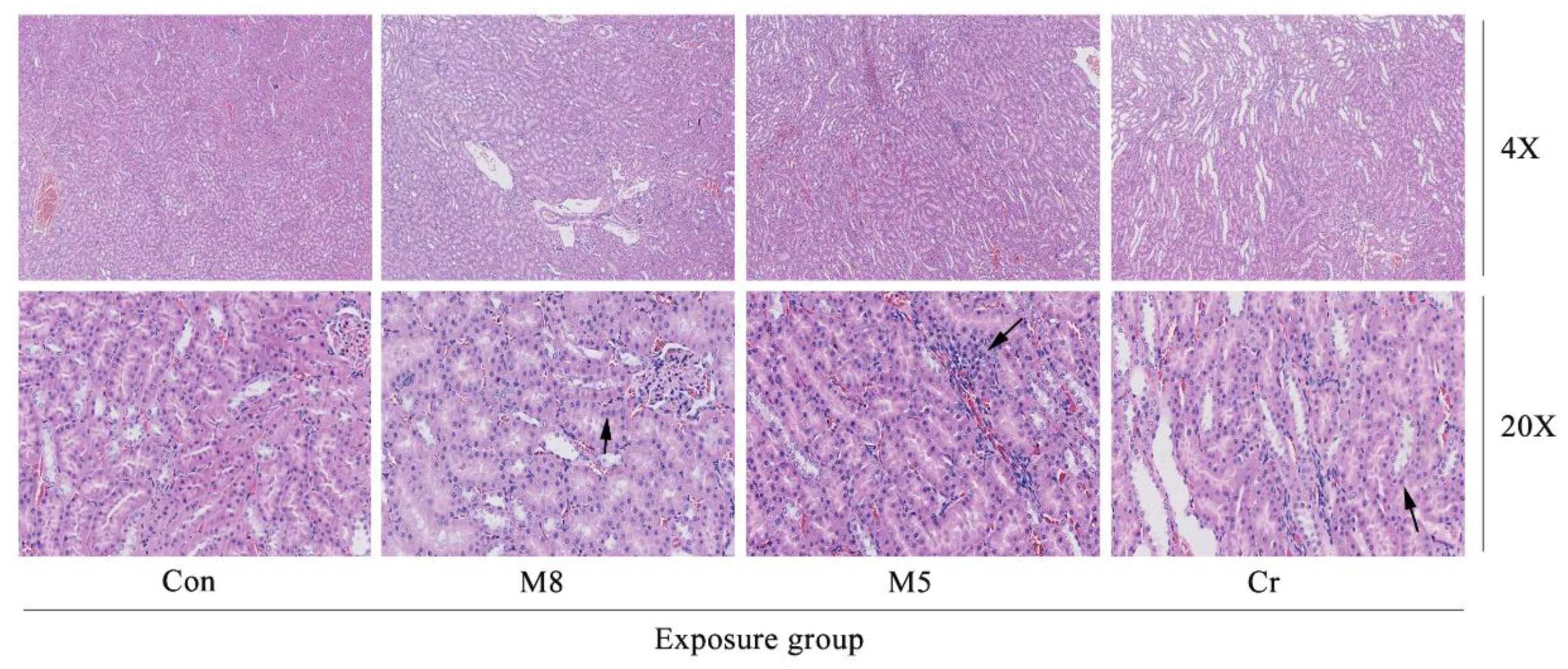 Ijerph 14 01164 g006