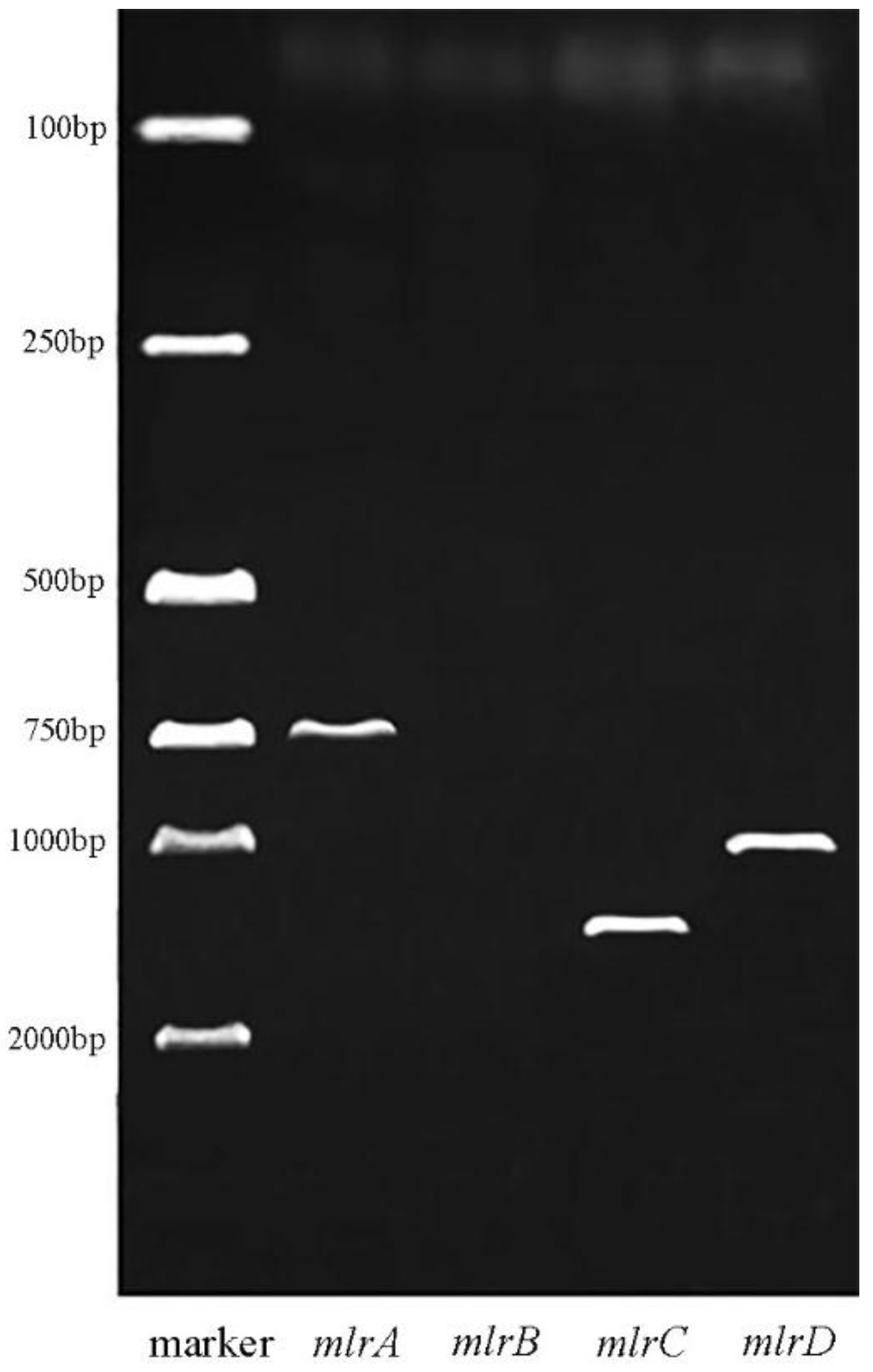 Ijerph 14 01187 g003 550