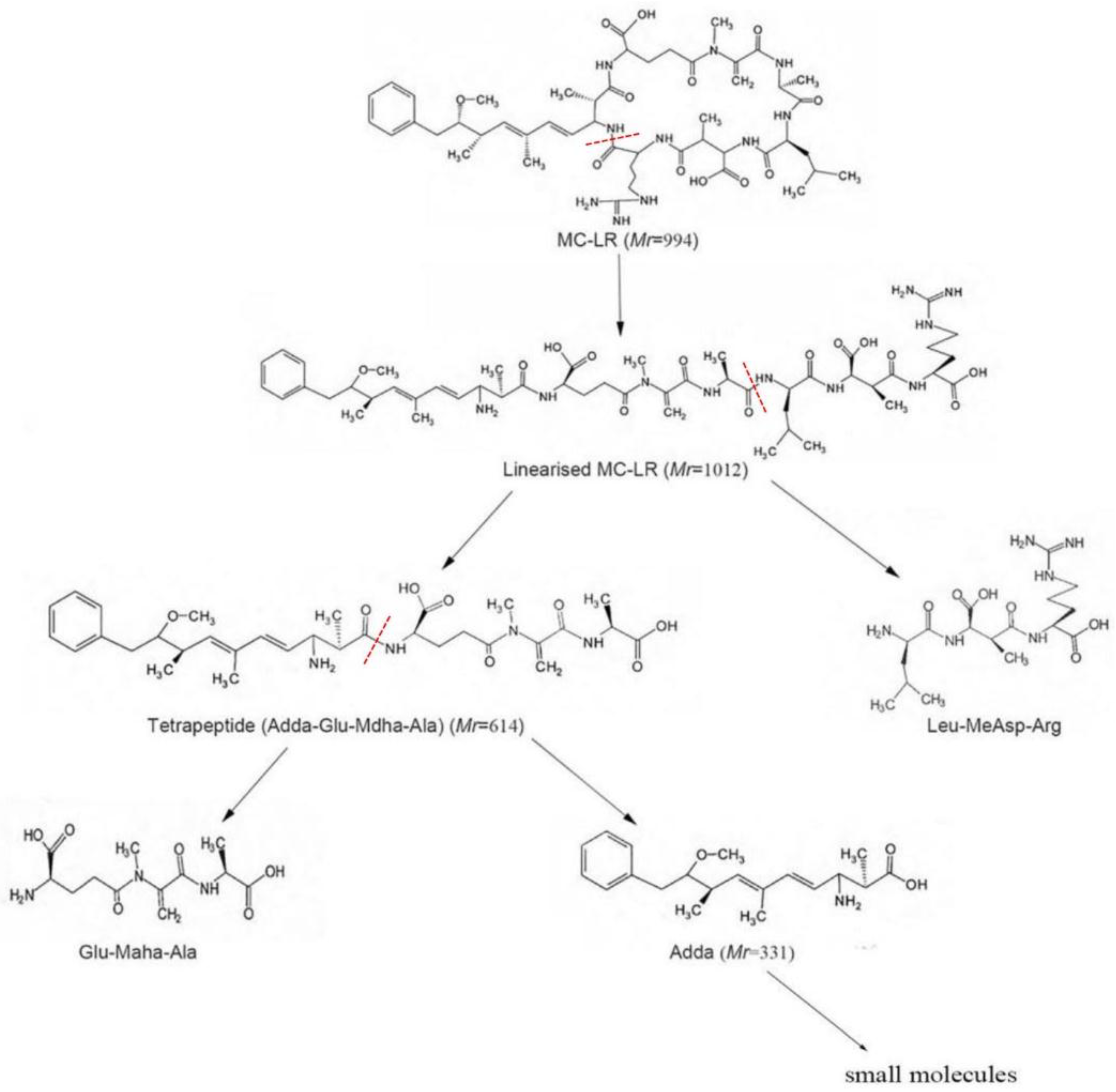 Ijerph 14 01187 g008 550