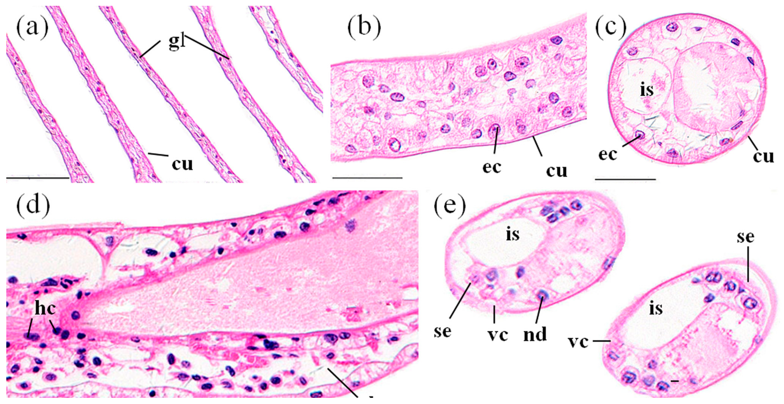 Ijerph 14 01466 g002 550