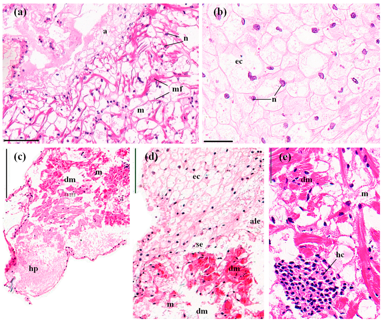 Ijerph 14 01466 g004 550