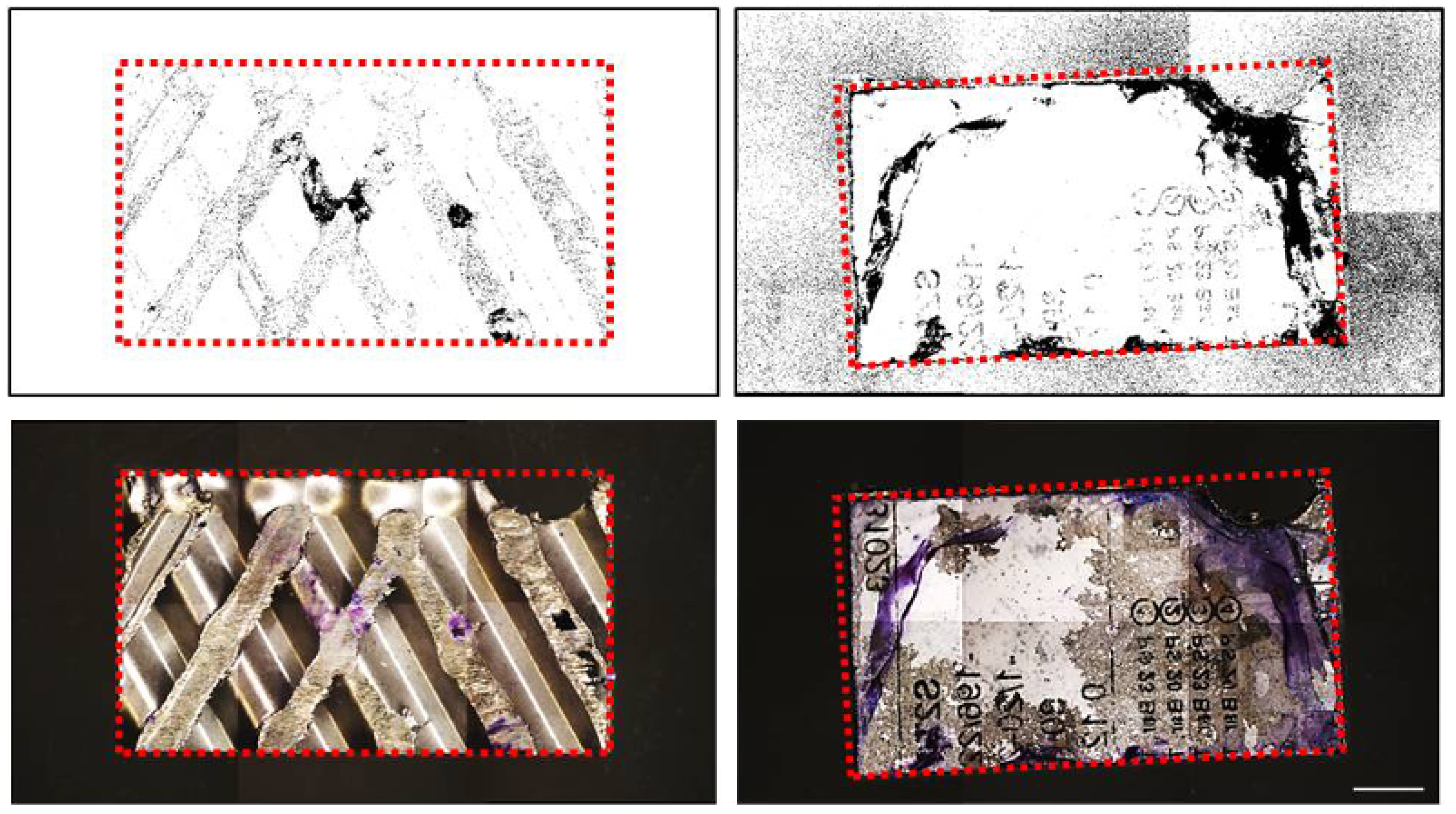 Ijerph 14 01587 g003