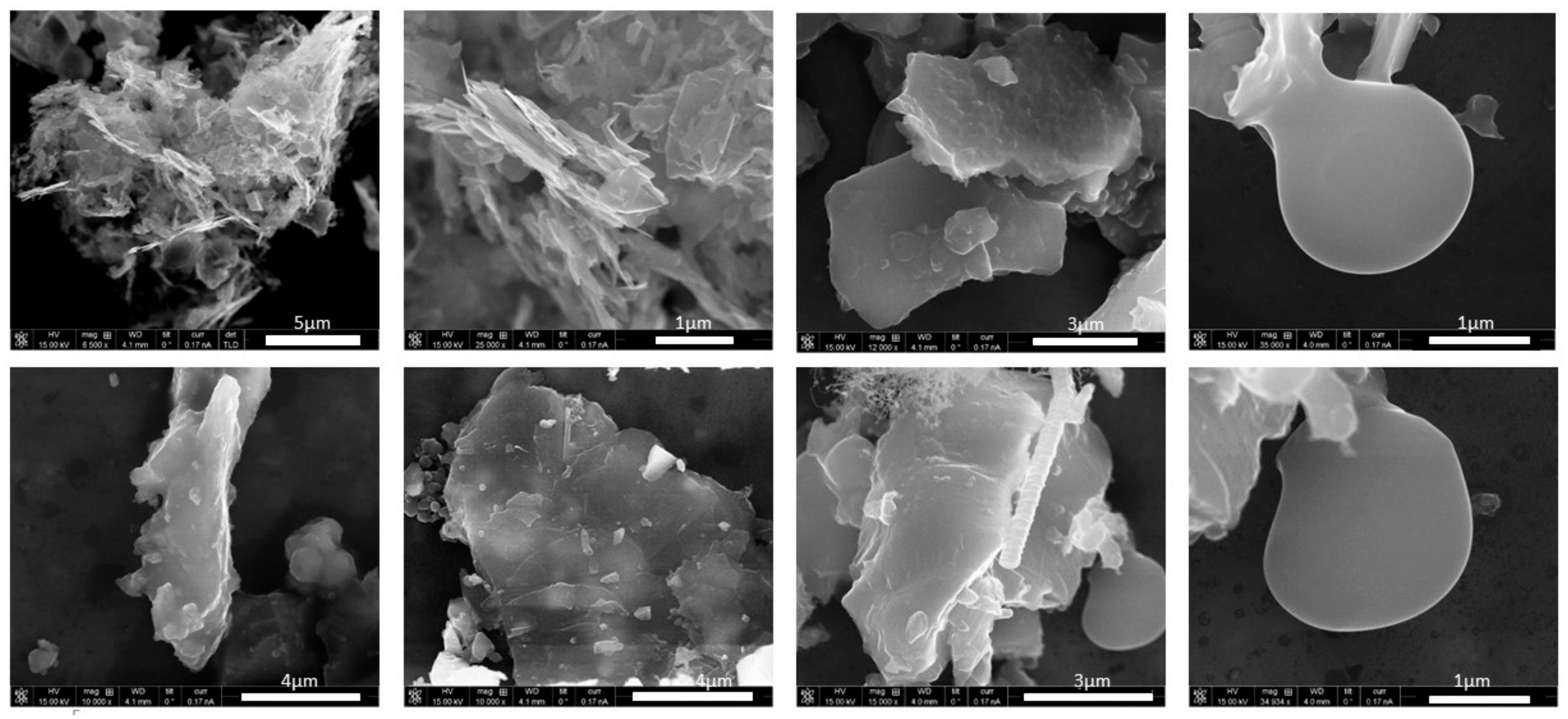 Ijerph 14 01611 g009