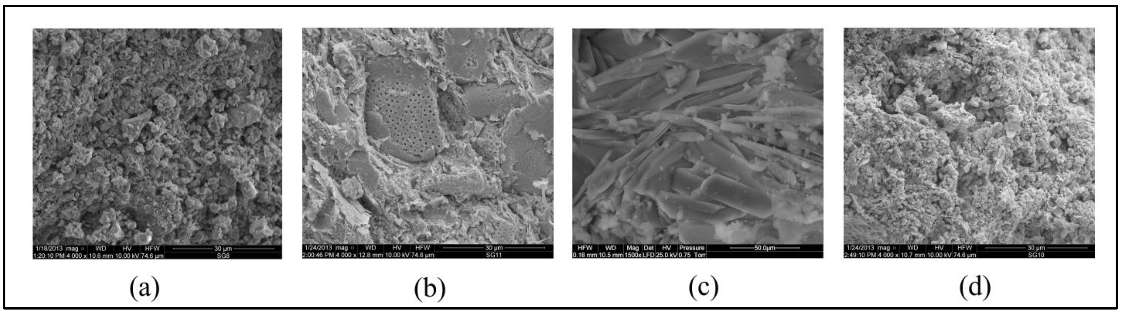 Ijerph 15 00024 g003 550