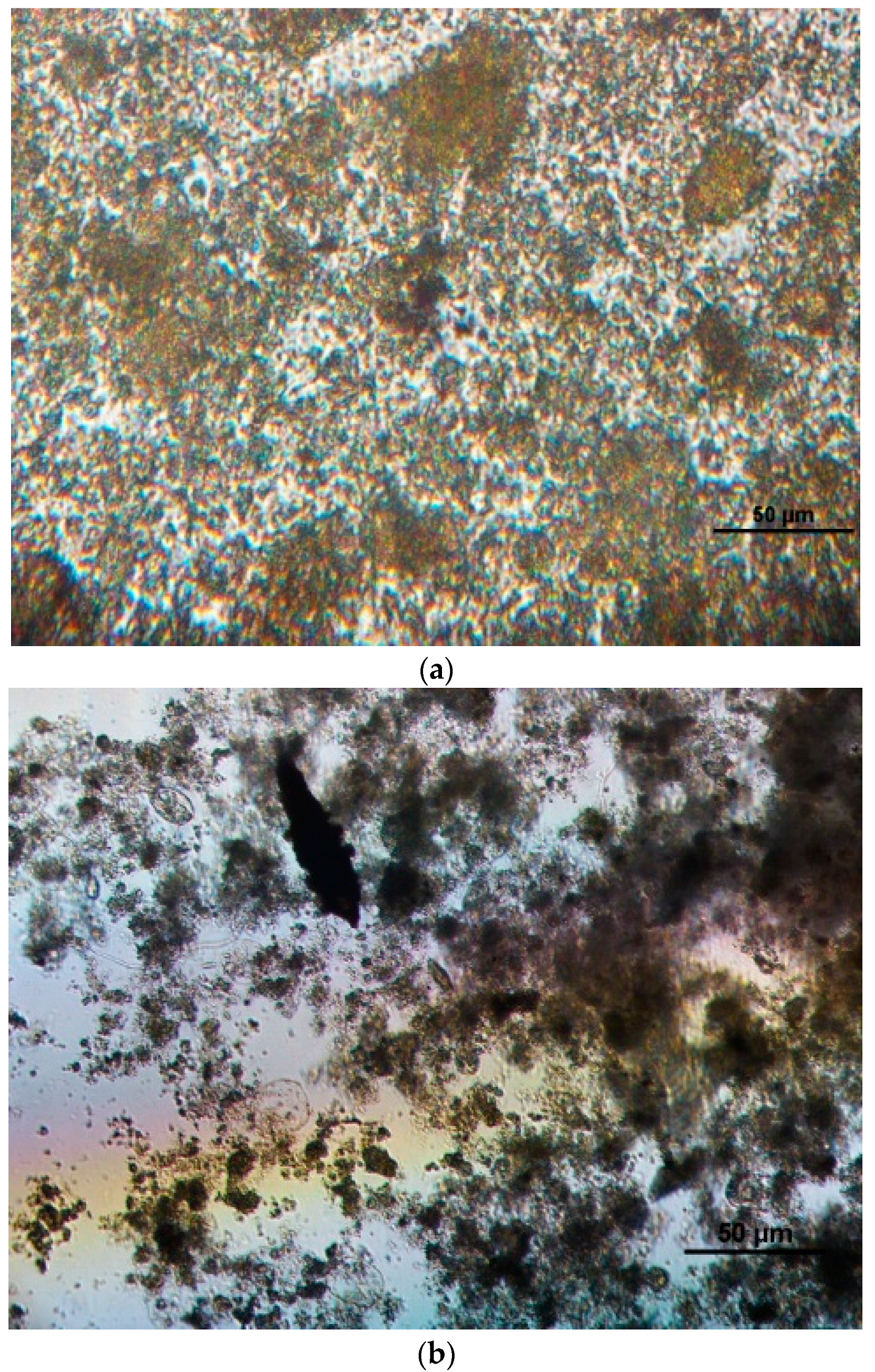 Ijerph 15 00035 g002 550