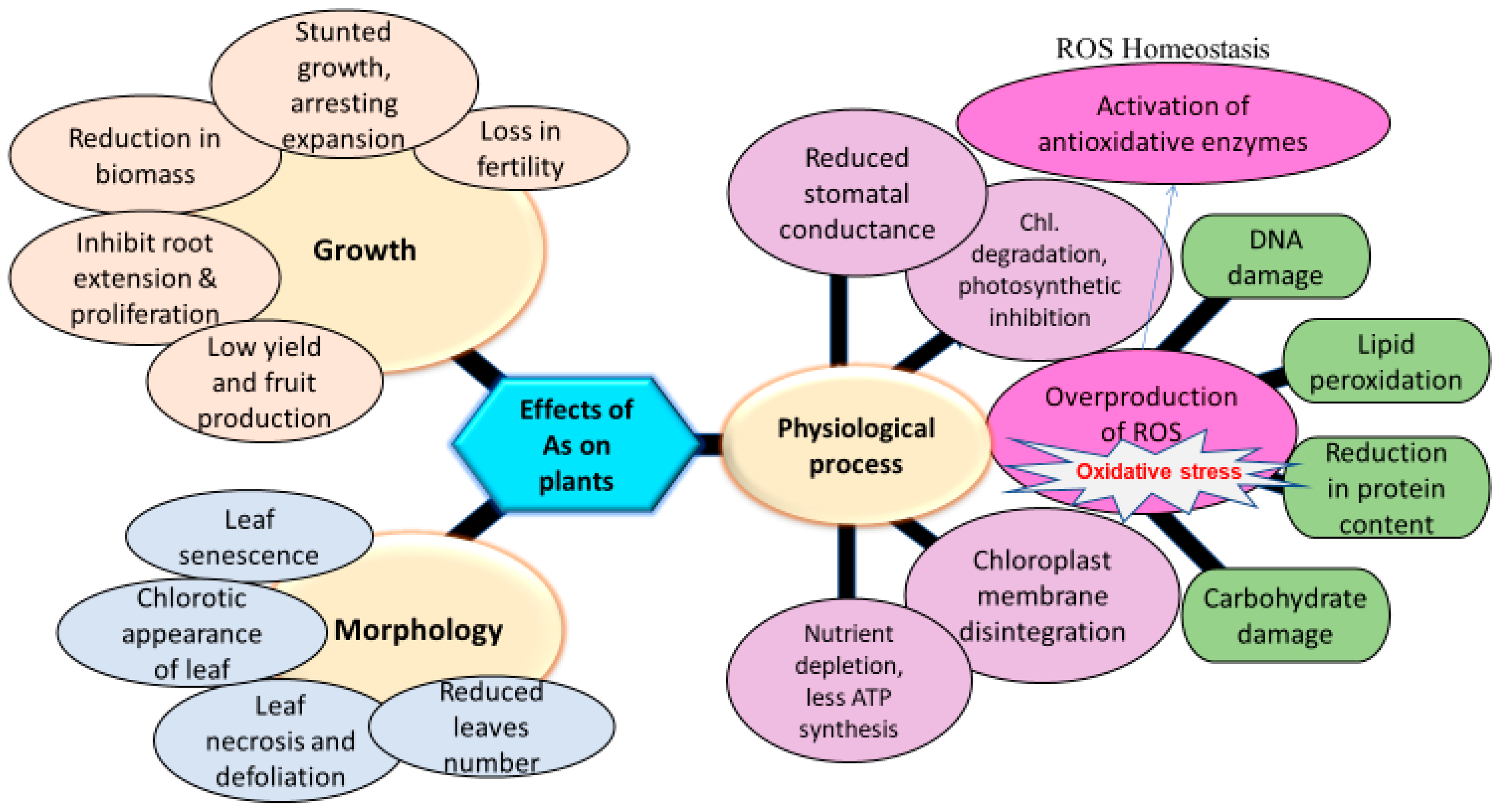 Ijerph 15 00059 g002 Ijerph 15 00059 g002
