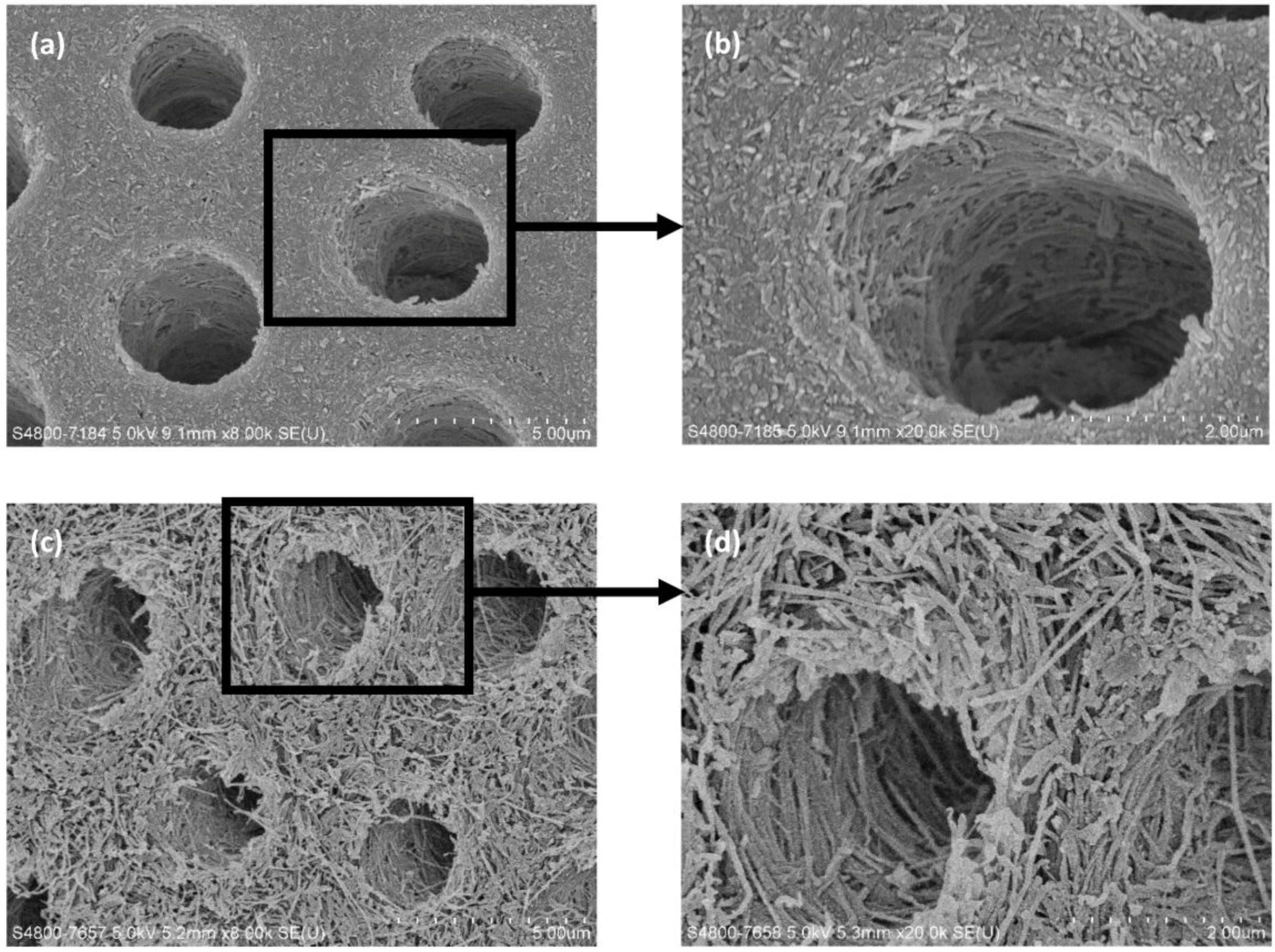 Ijerph 15 00080 g001