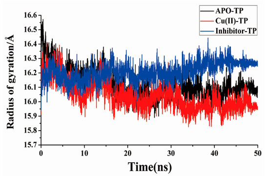 Trypsin Binding with Copper Ions Scavenges Superoxide