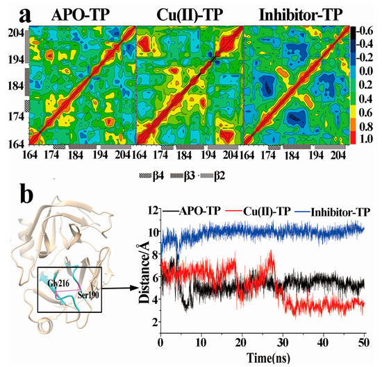 Trypsin Binding with Copper Ions Scavenges Superoxide