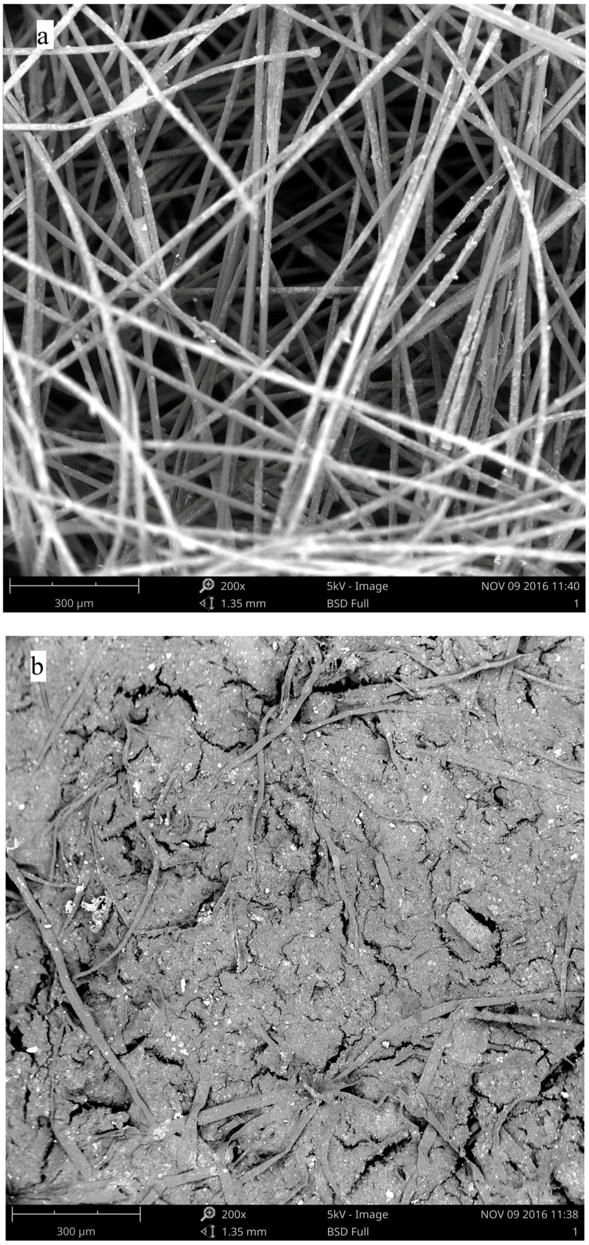 Ijerph 15 00318 g003