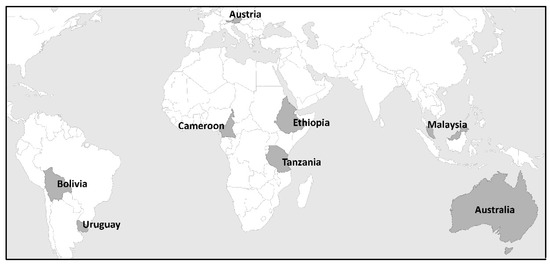 the capital of the world hemingway summary