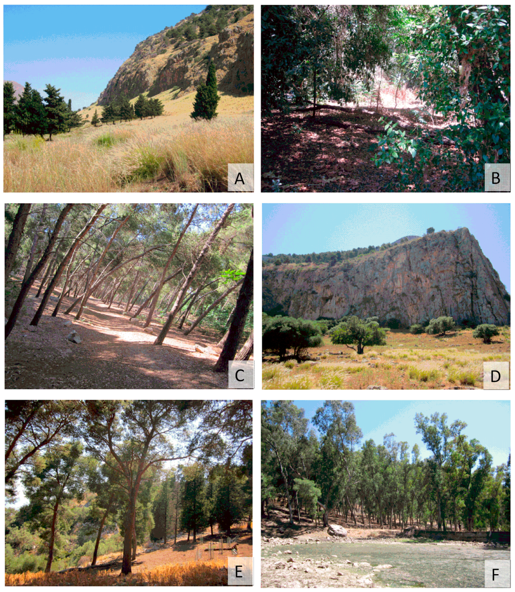 Ijerph 15 00404 g002