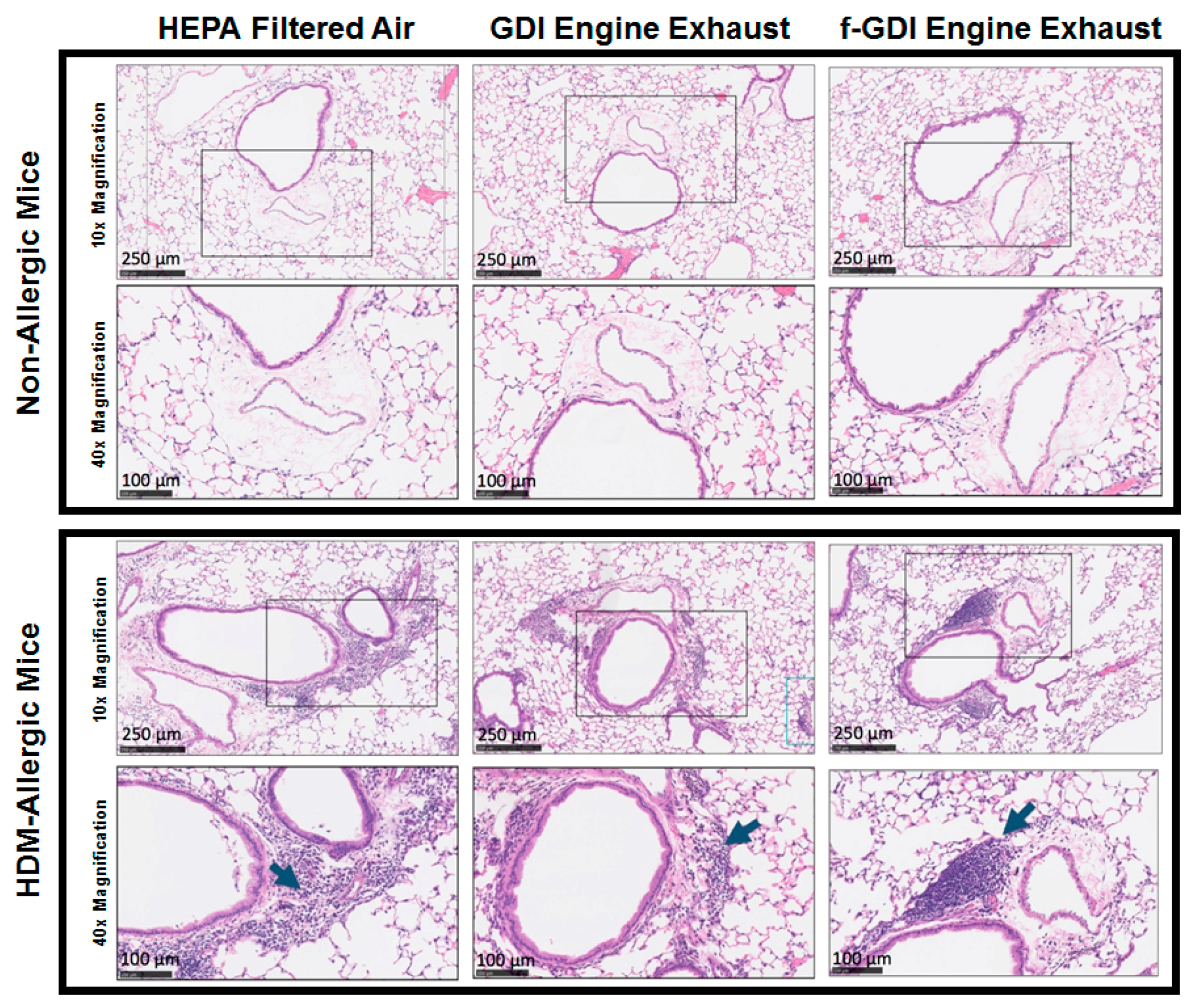 Ijerph 15 00429 g003 550