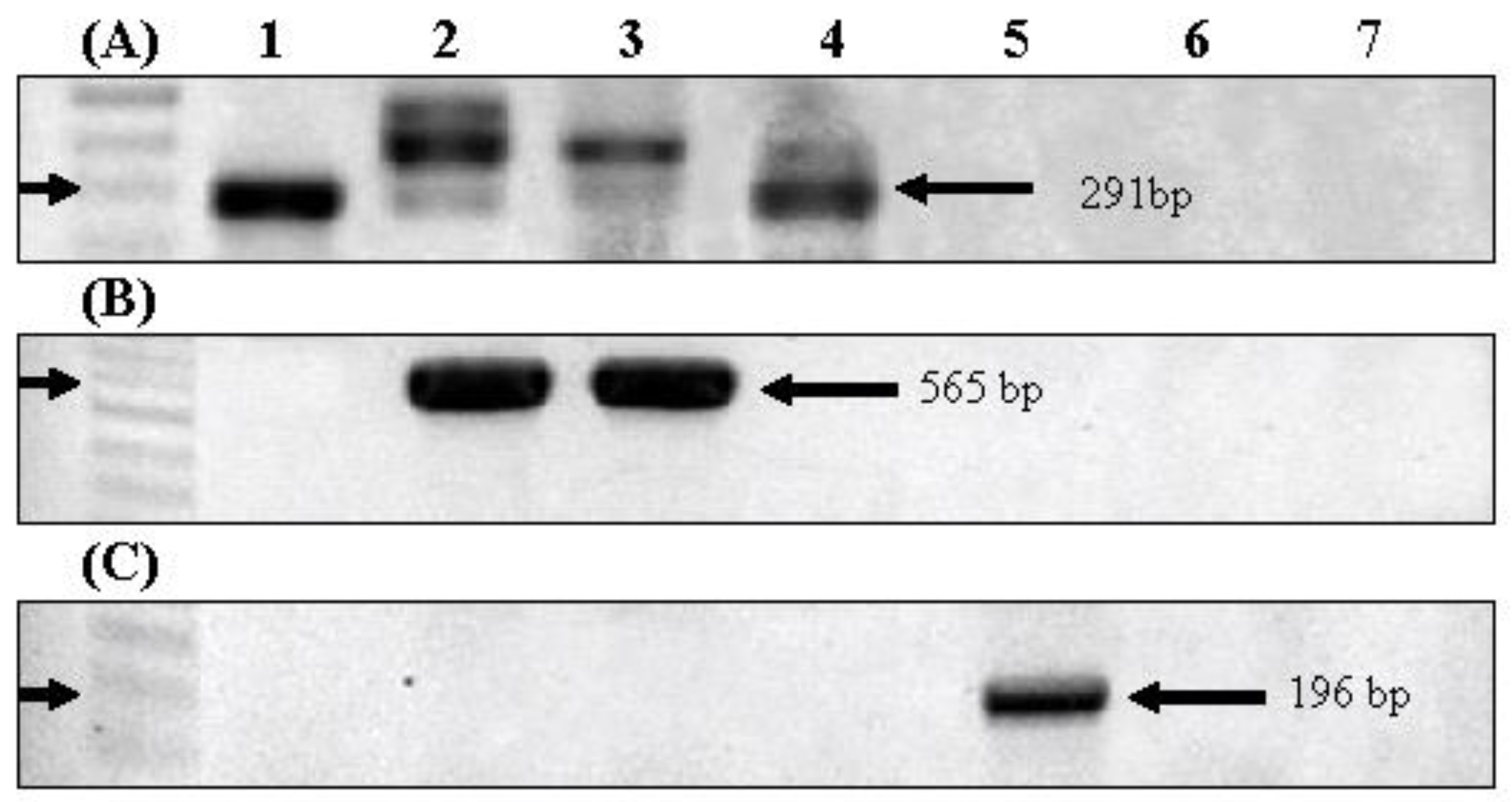Ijerph 15 00444 g003 Ijerph 15 00444 g003
