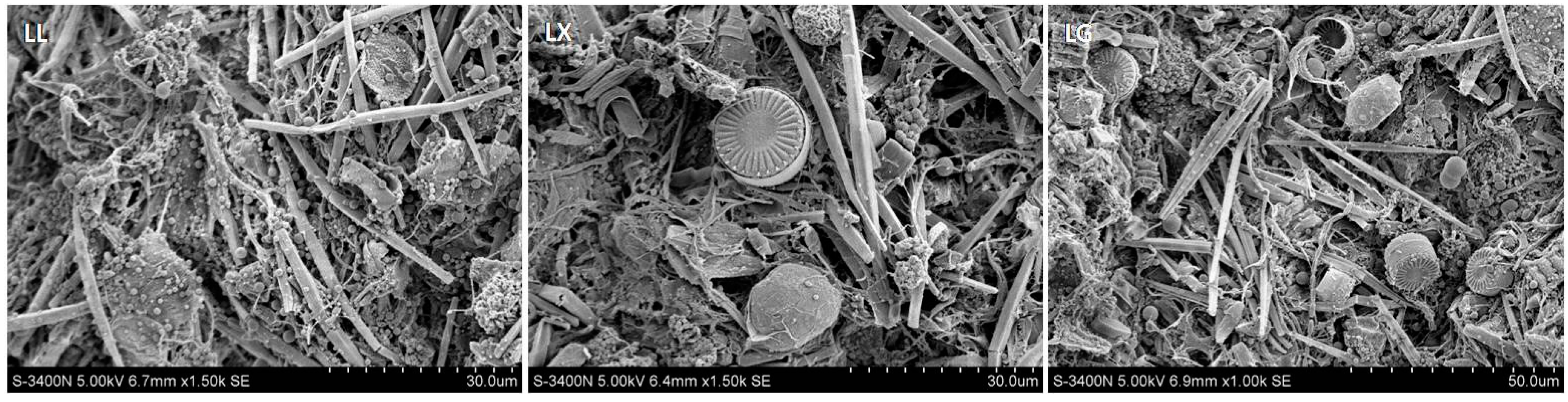 Ijerph 15 00469 g001 Ijerph 15 00469 g001