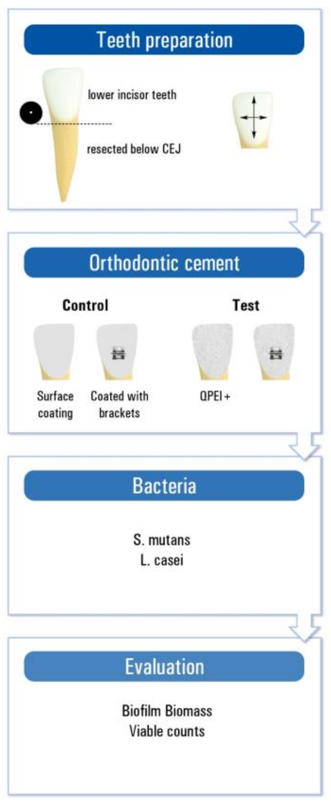 Ijerph 15 00606 g001 550