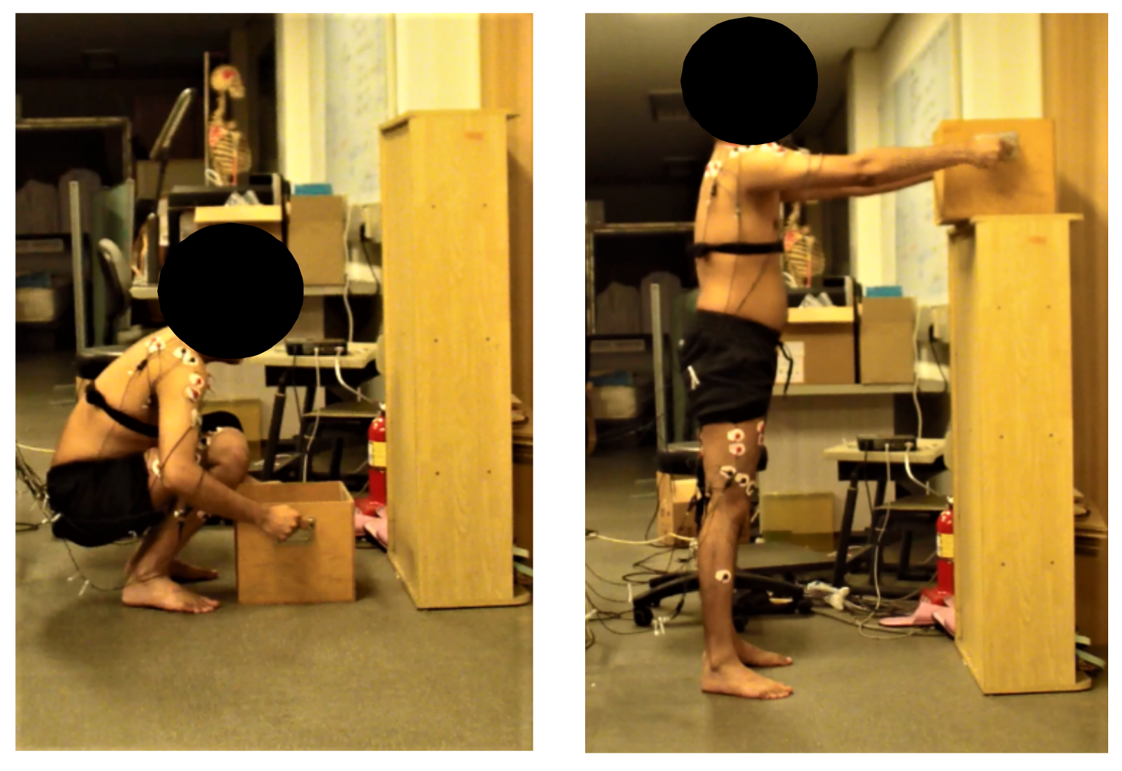 Ijerph 15 00784 g002 550