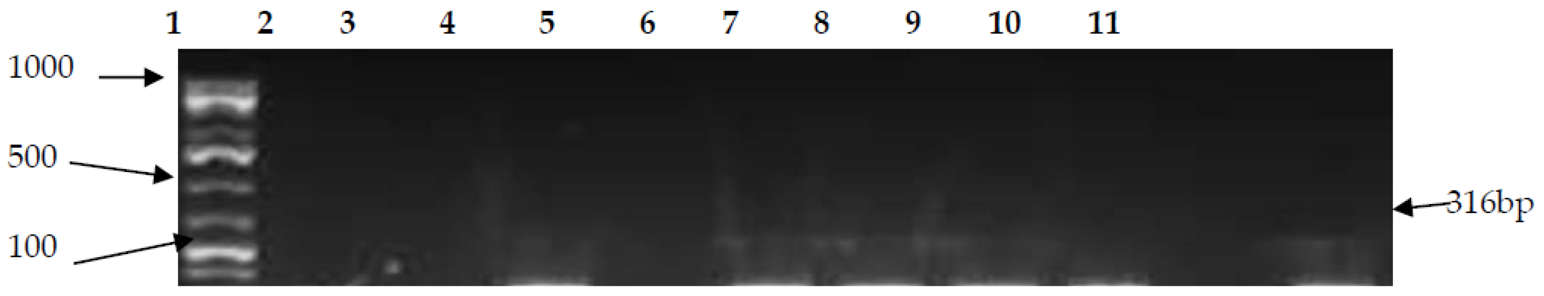 Ijerph 15 00925 g002