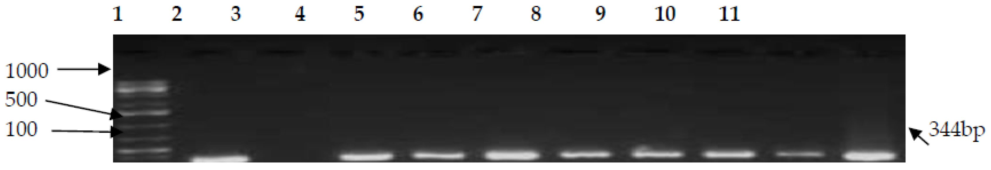 Ijerph 15 00925 g003